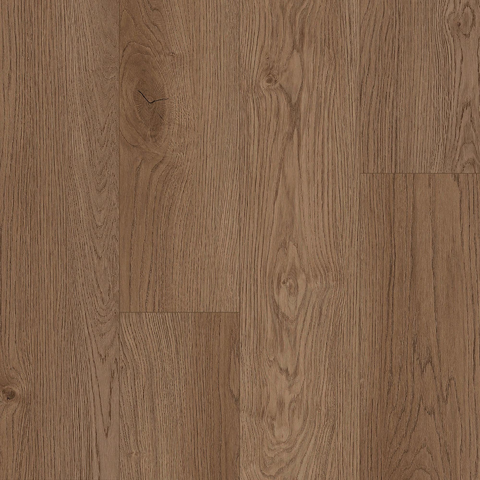 Paramount Keystone Rock Dove 7