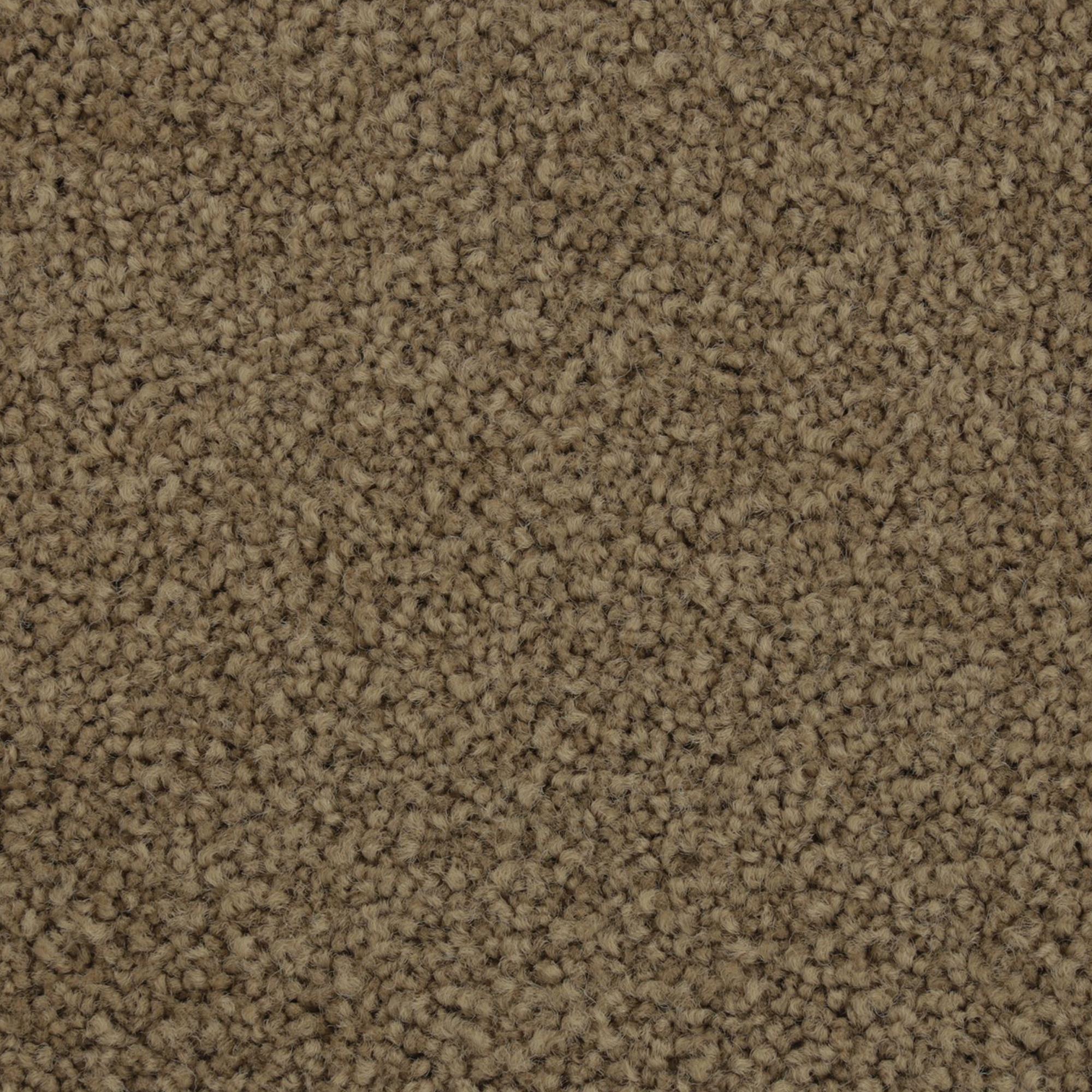 Mohawk Coastal Luxury II Carpet in Tradition Shop NFM