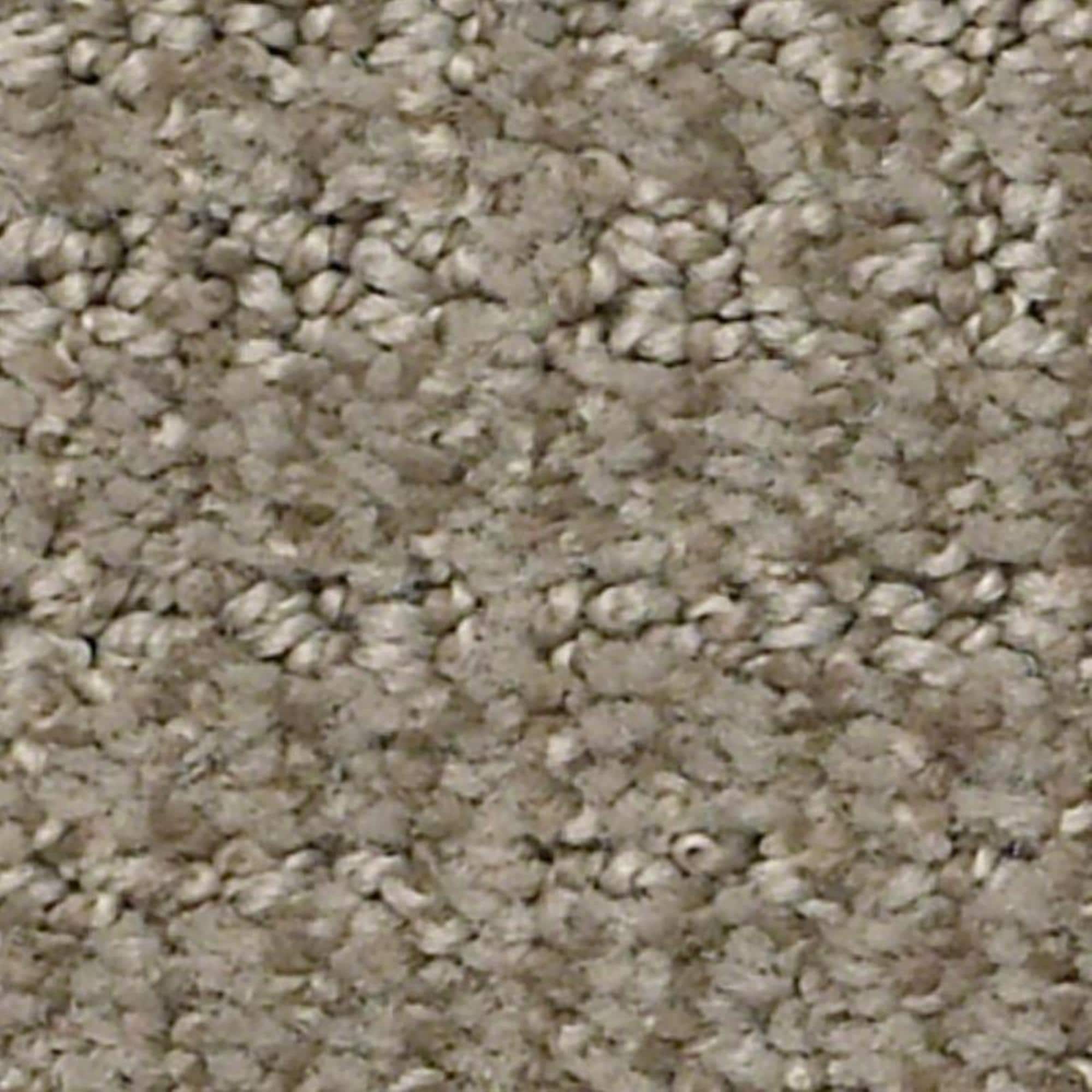 Shaw Insightful Way Carpet in Abbey Stone NFM