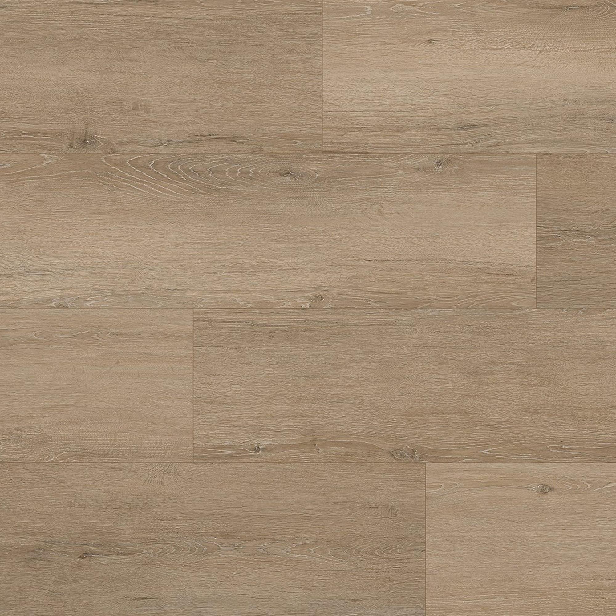 Fuzion Dynamix XL 3DGE Ashen 9