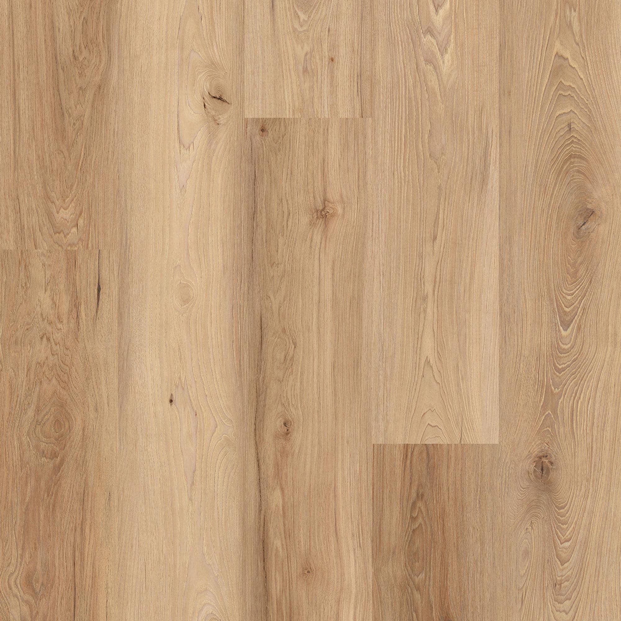 ルフィ×Lions Lions Floor District Pro Murrieta 7