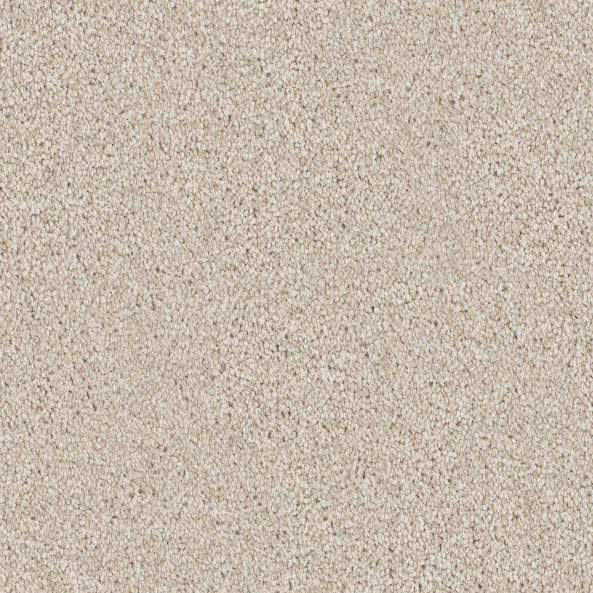 Dixie Home Admire Carpet in Cinderblock