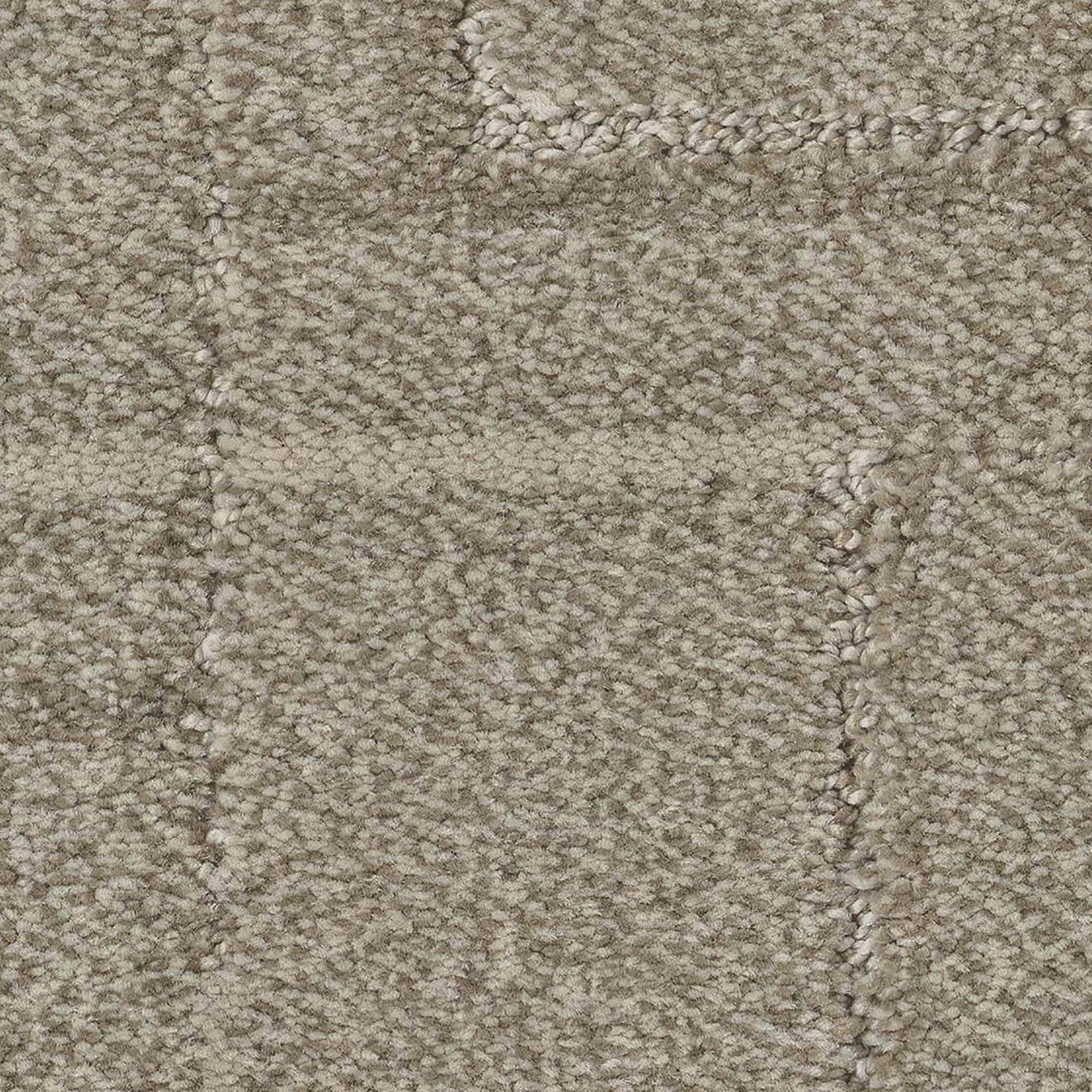 Anderson Tuftex Path Carpet in Dry Creek