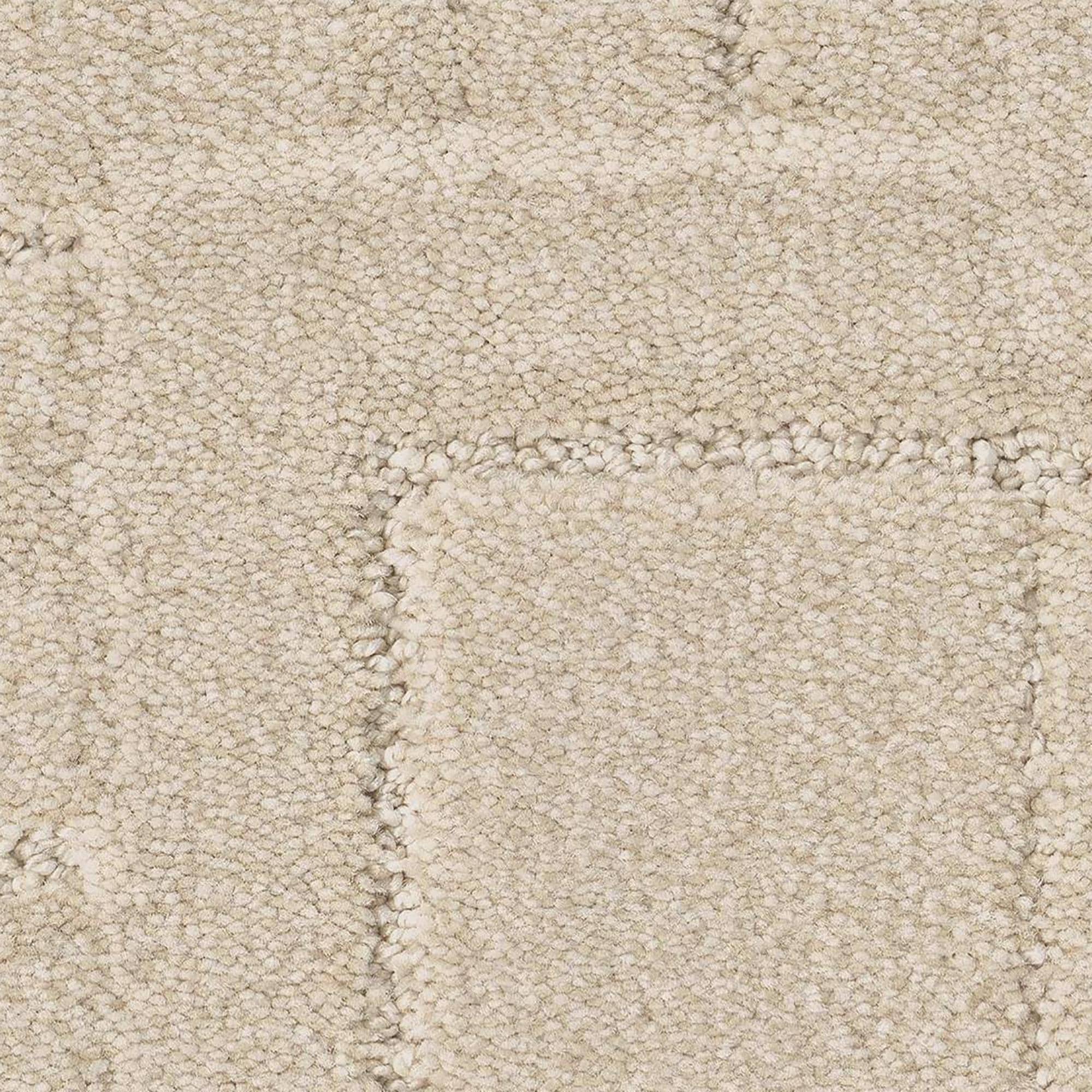 Anderson Tuftex Path Carpet in Dry Creek