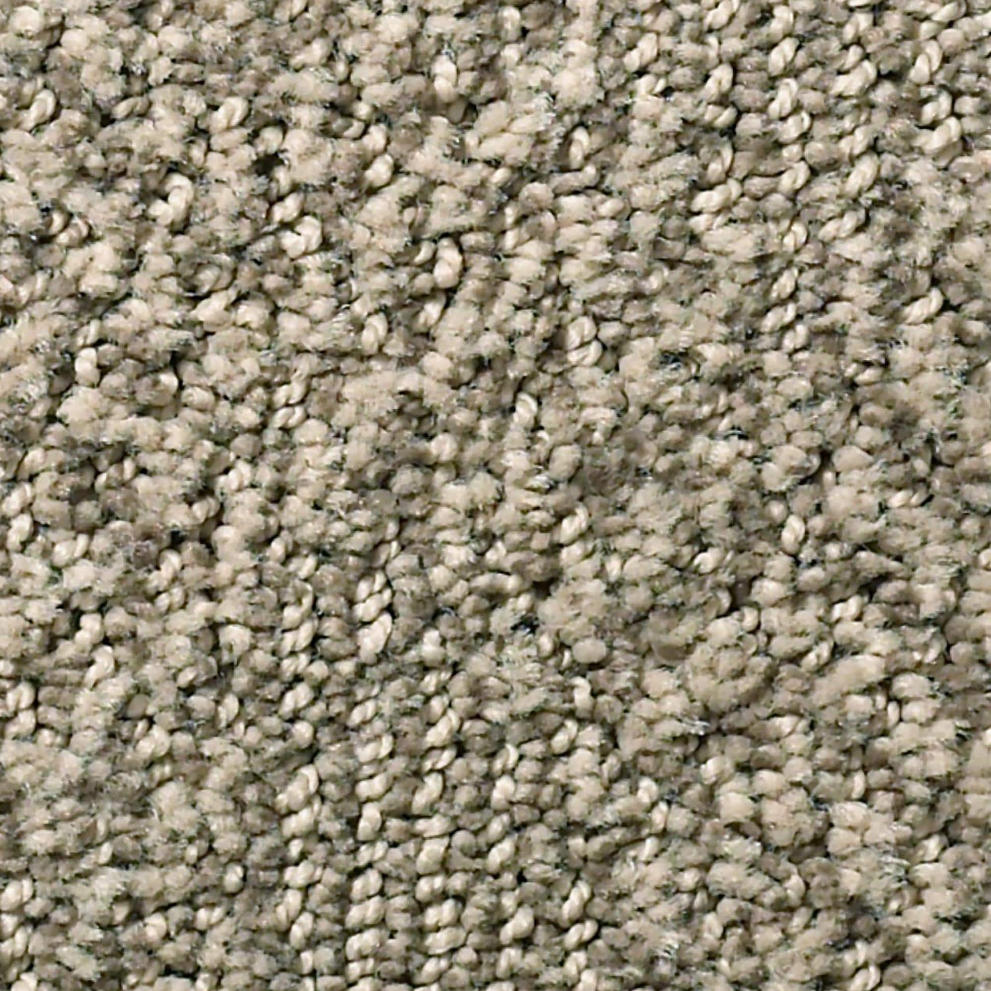 Anderson Tuftex Luna Carpet in Sandlot Nebraska Furniture Mart