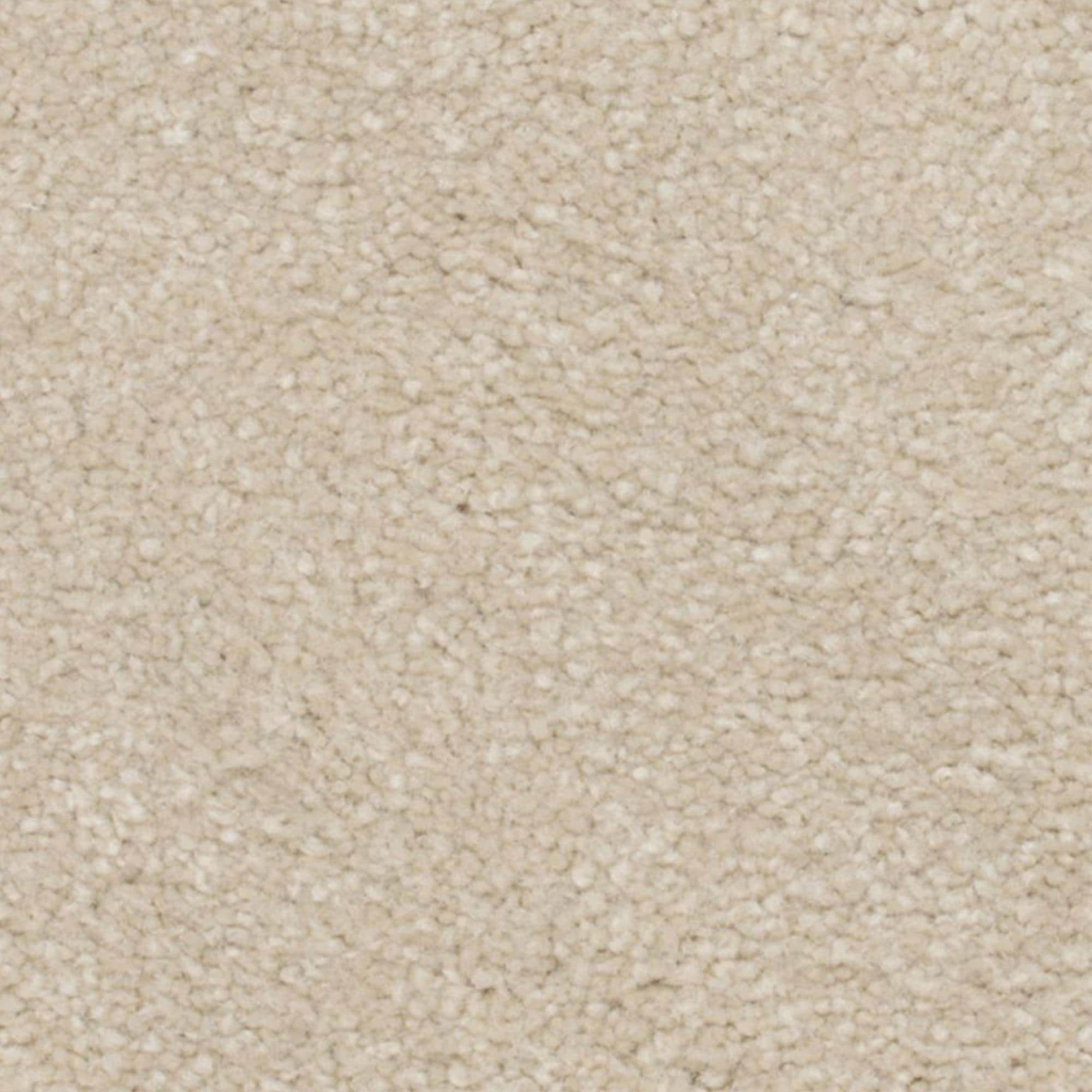 Karastan Live Artfully Carpet in Veranda NFM