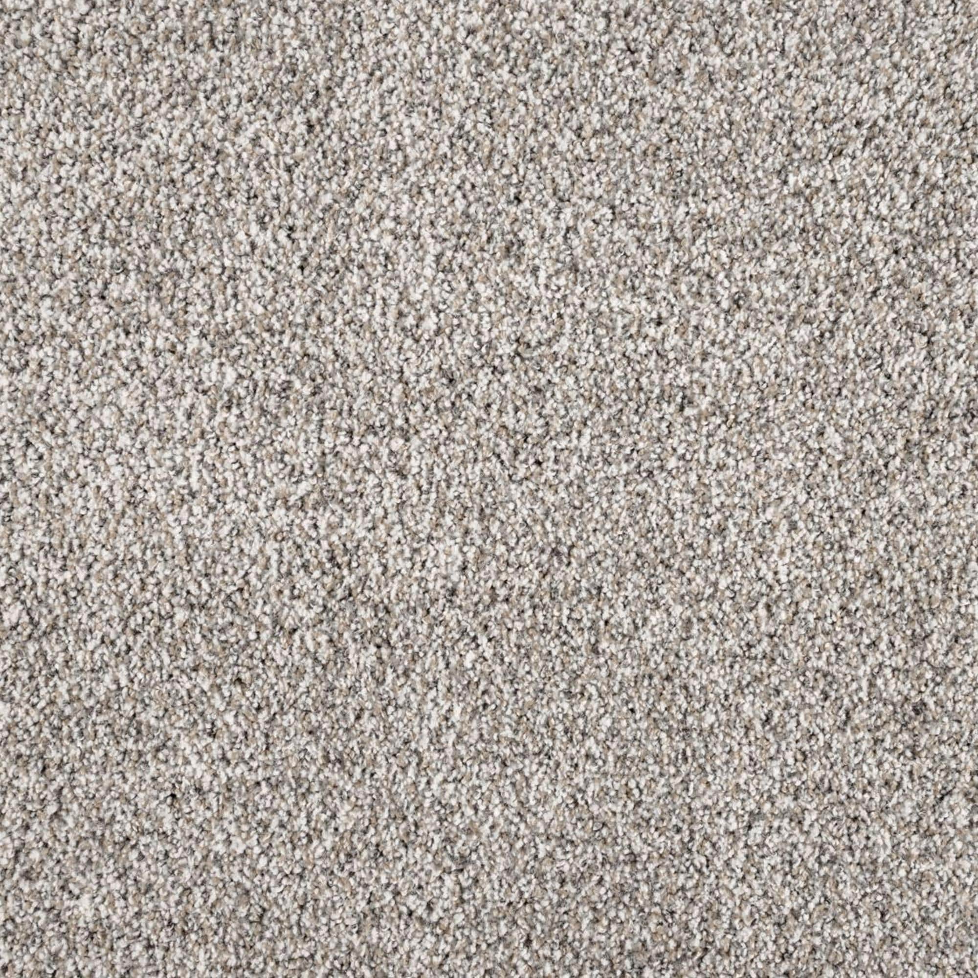 Mohawk Luxuriant Space Carpet in Rococo