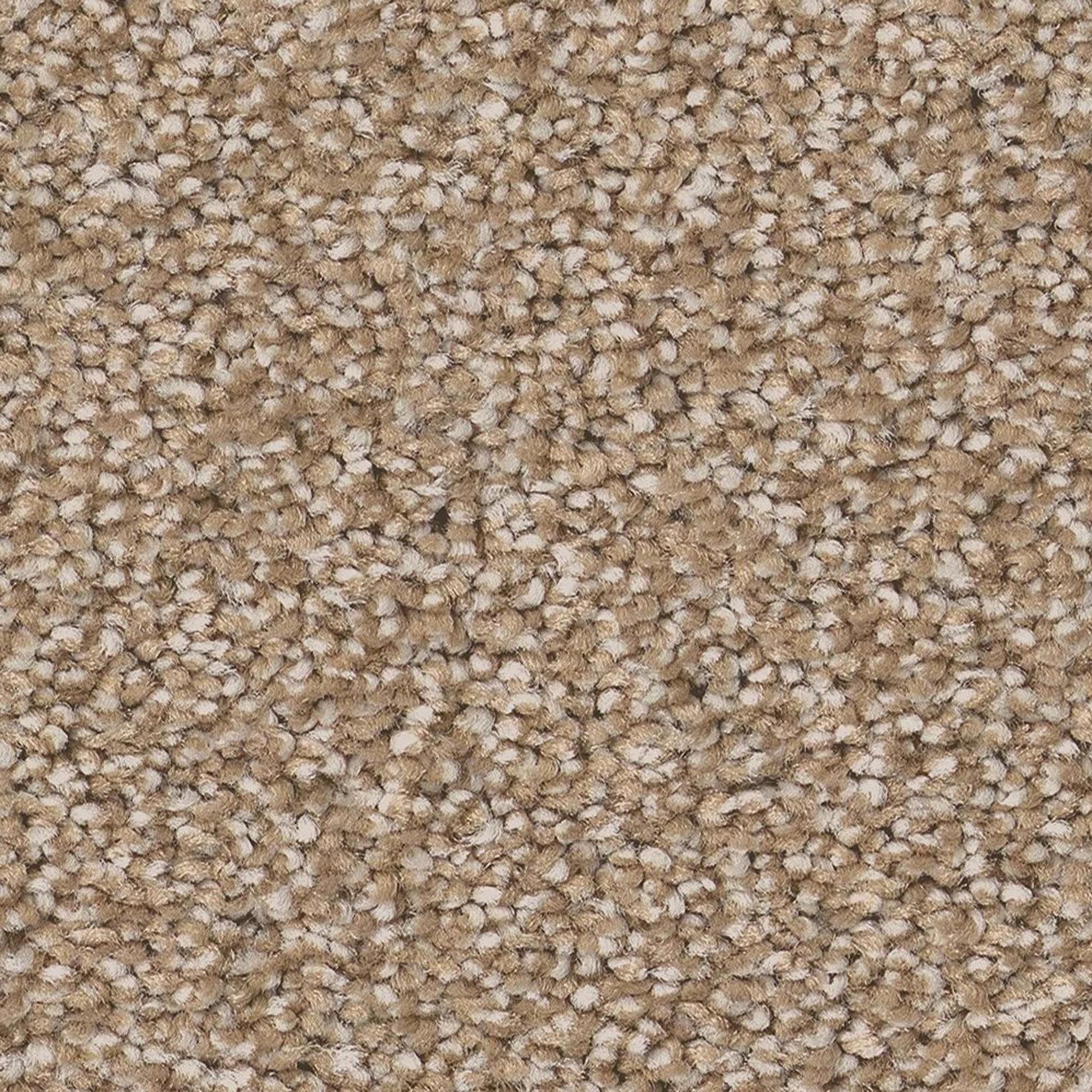Anderson Tuftex Cypress Falls Carpet in Buff NFM