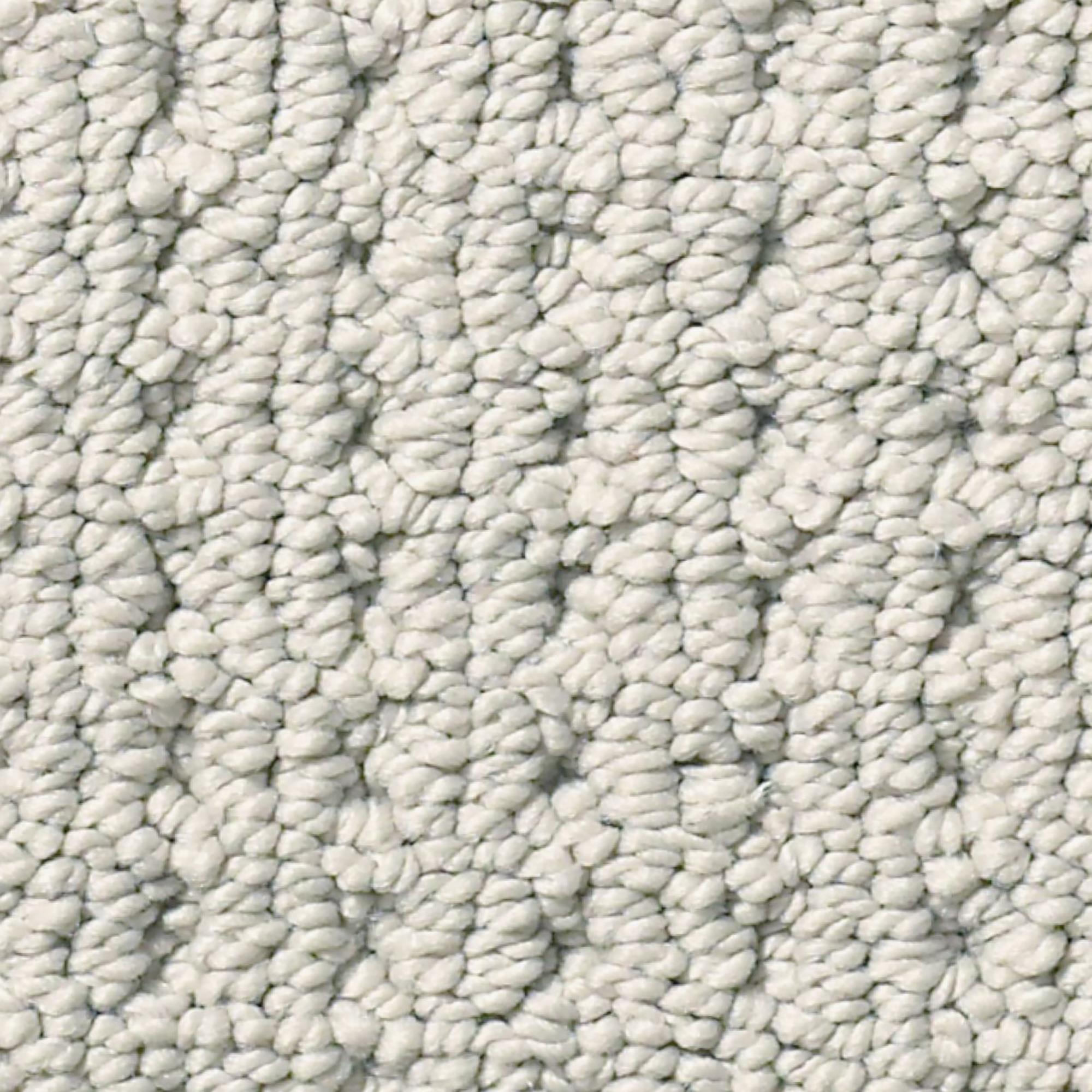 Anderson Tuftex San Lucas Carpet in Natural