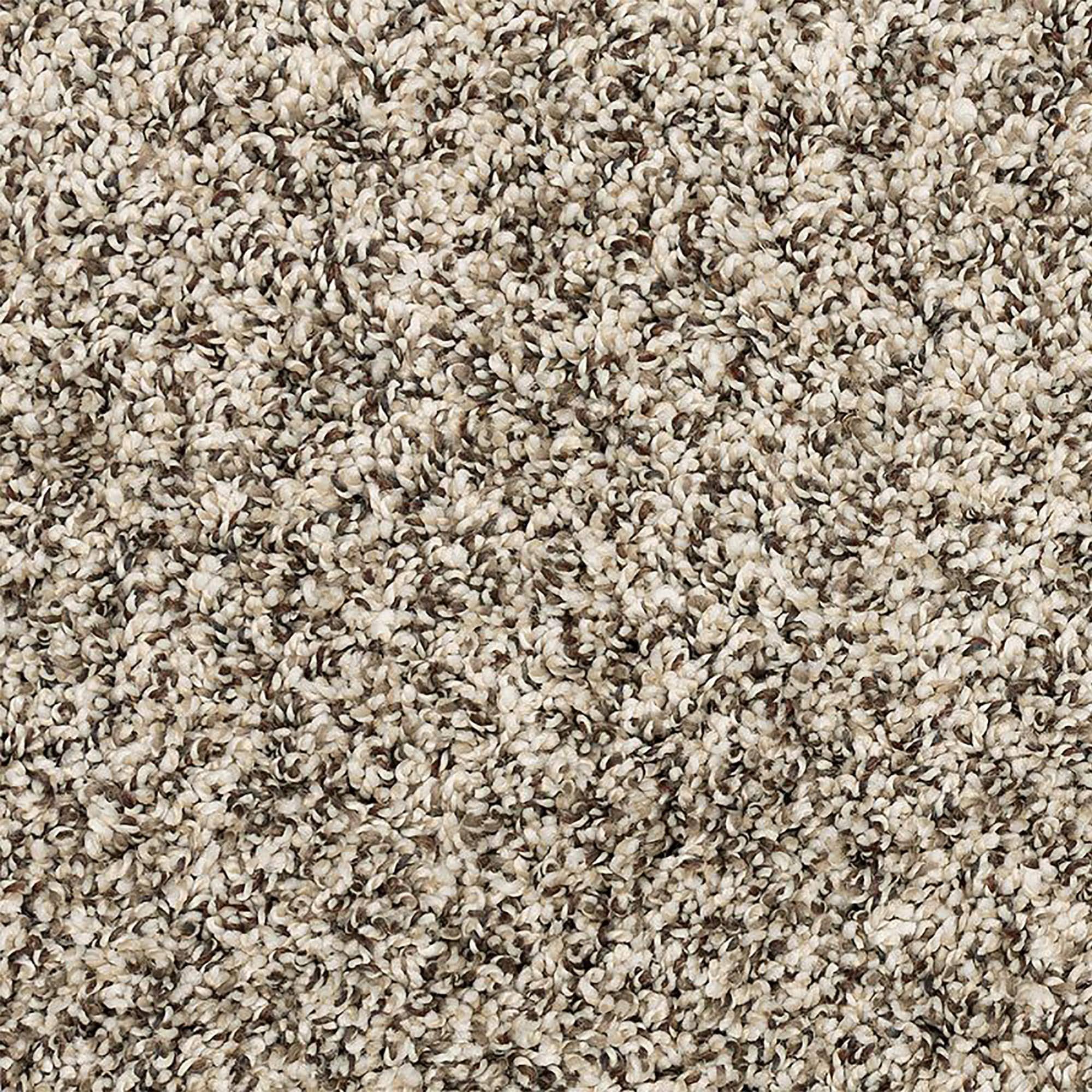 Mohawk Purrsonality III Carpet in Cascade