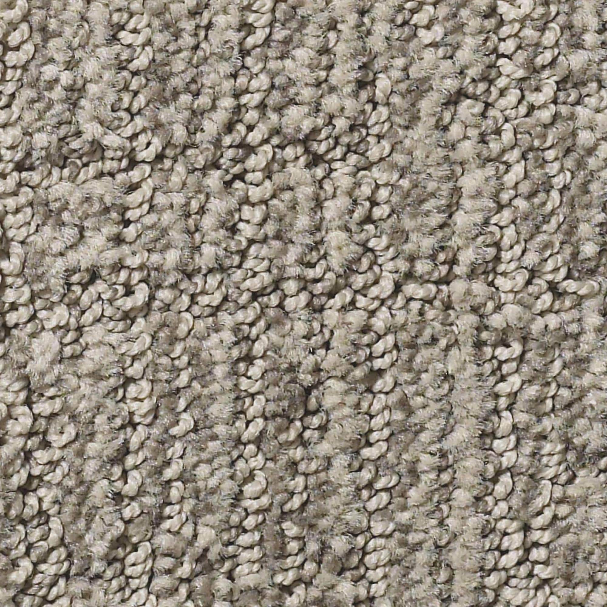 Shaw Roamer Carpet in Horizon