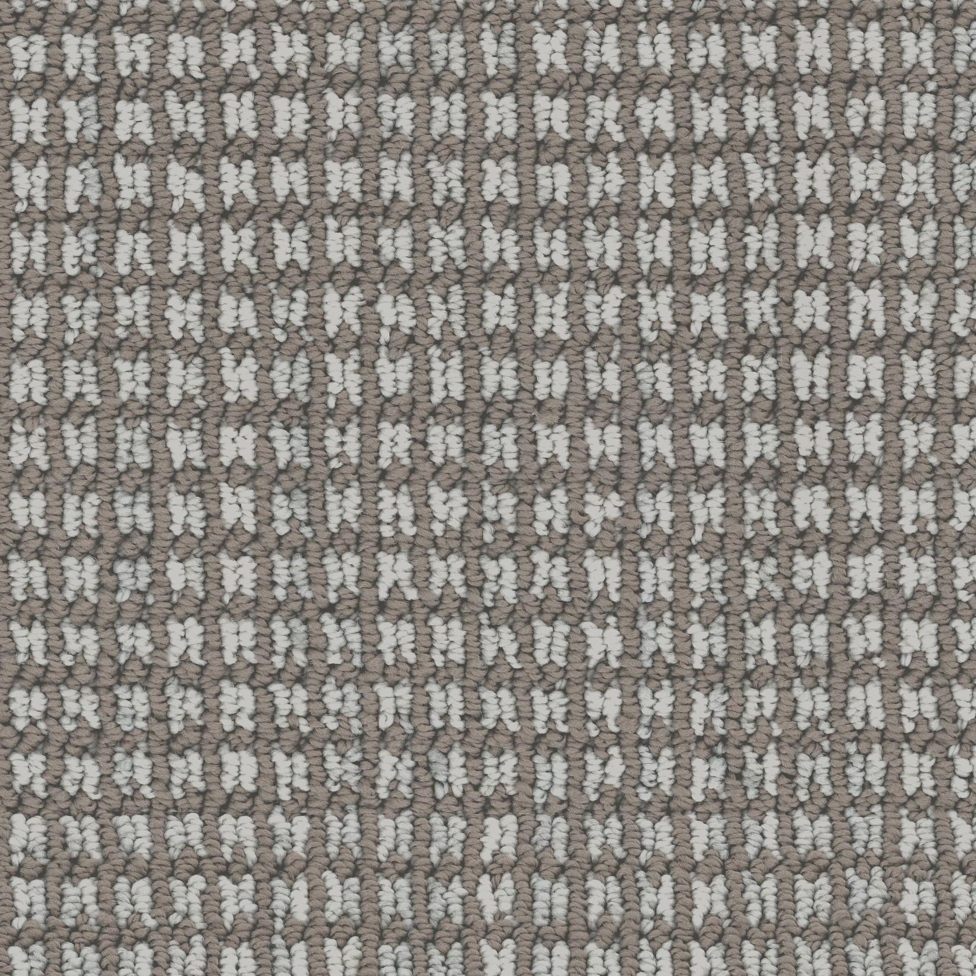 Dixie Home Oasis Carpet in Driftwood
