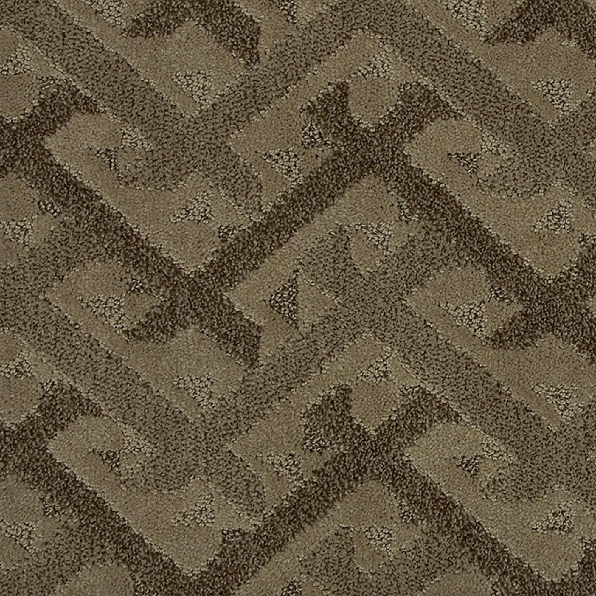 Karastan Cheerful Details Carpet in Natural Grain NFM