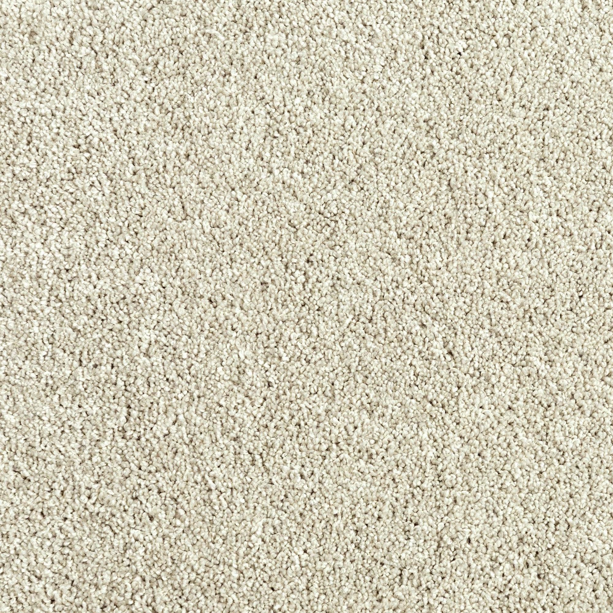 Mohawk Assorted Elements II Carpet in Silver Dollar