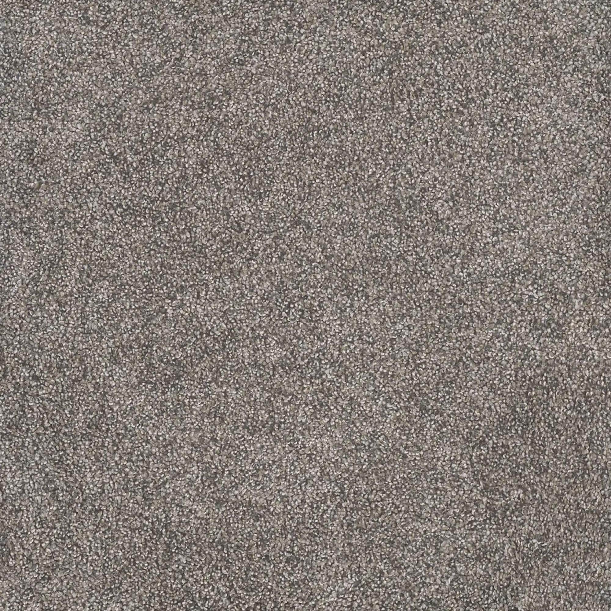 Dream Weaver Rustic Retreat I Carpet in Dried Sage