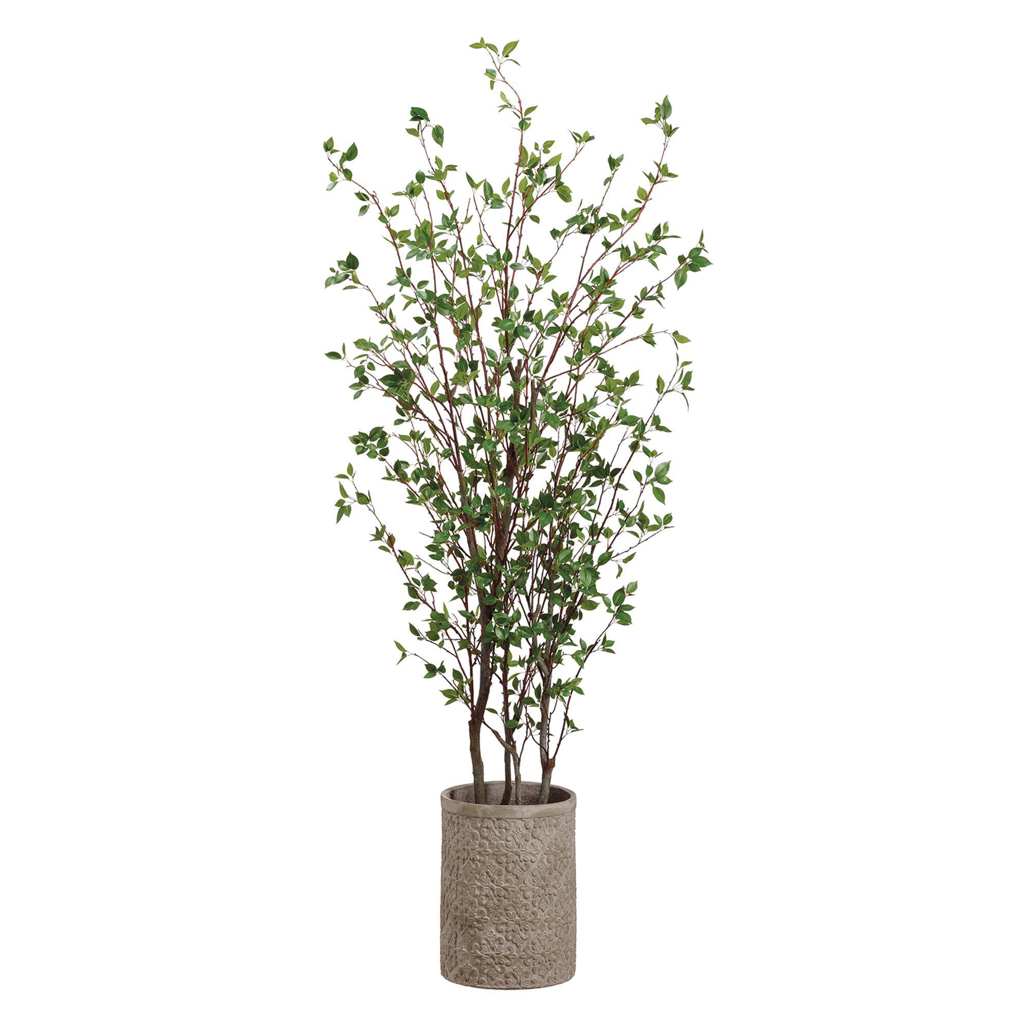Image of Cornus tree craft