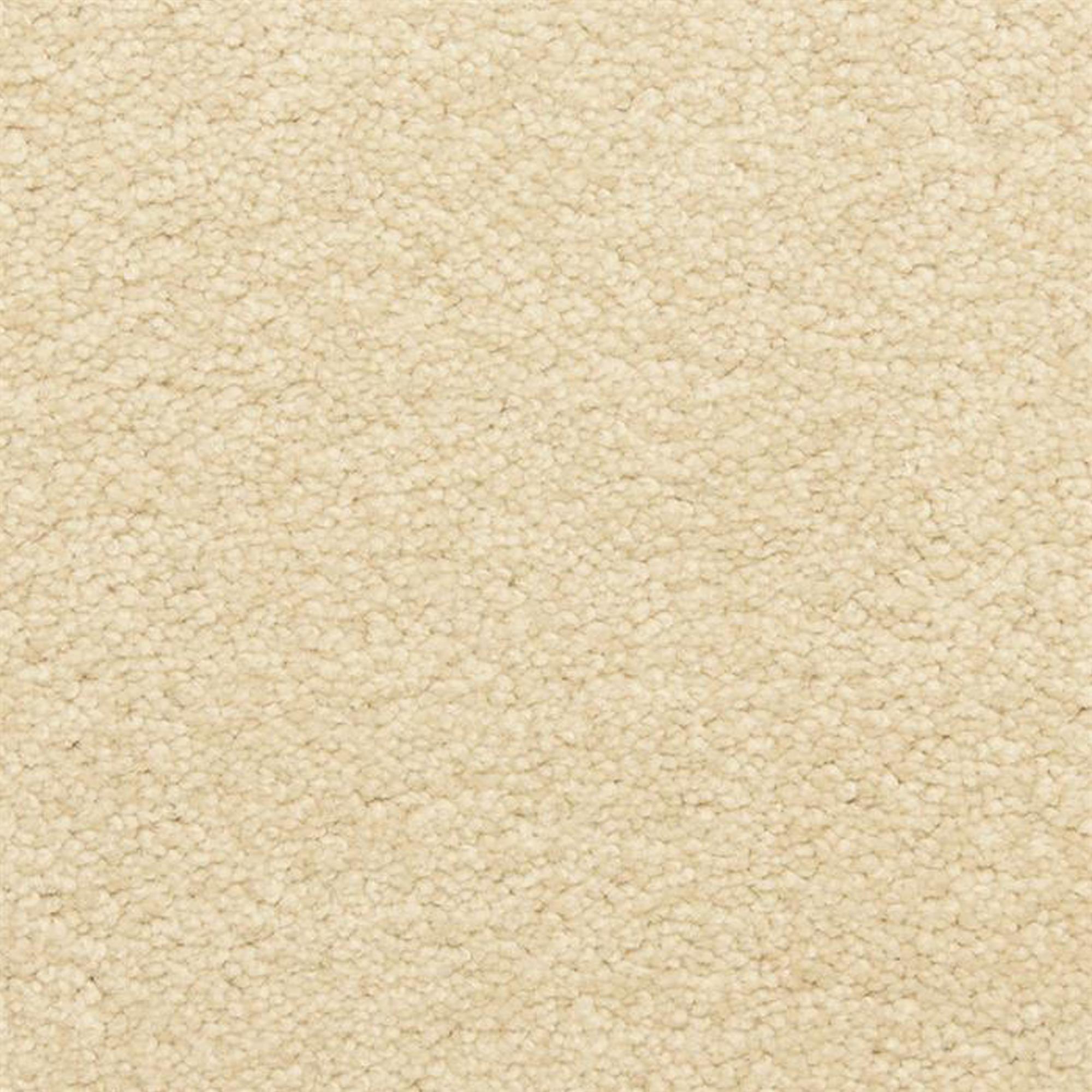 Masland Carpets Inc Classical Carpet in Legato Shop NFM