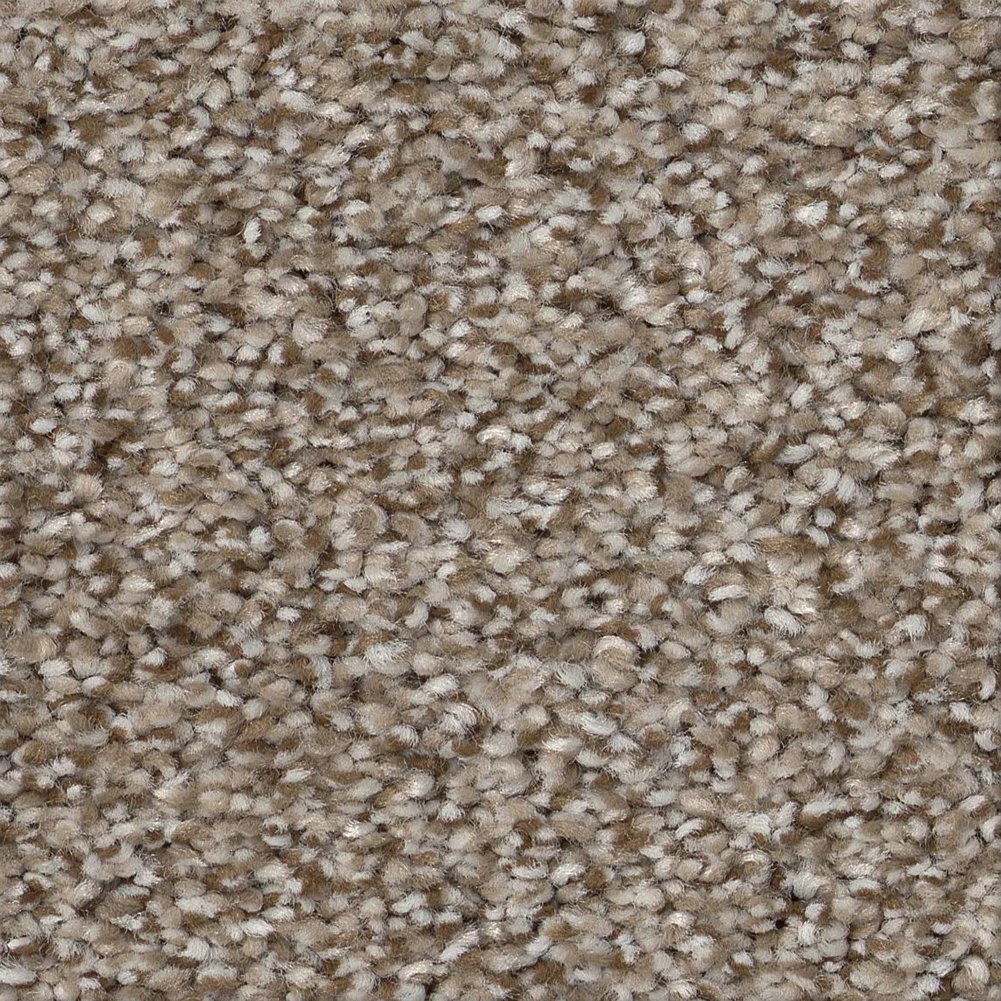 Philadelphia Truspirit Ii Carpet in Timeless Tan NFM