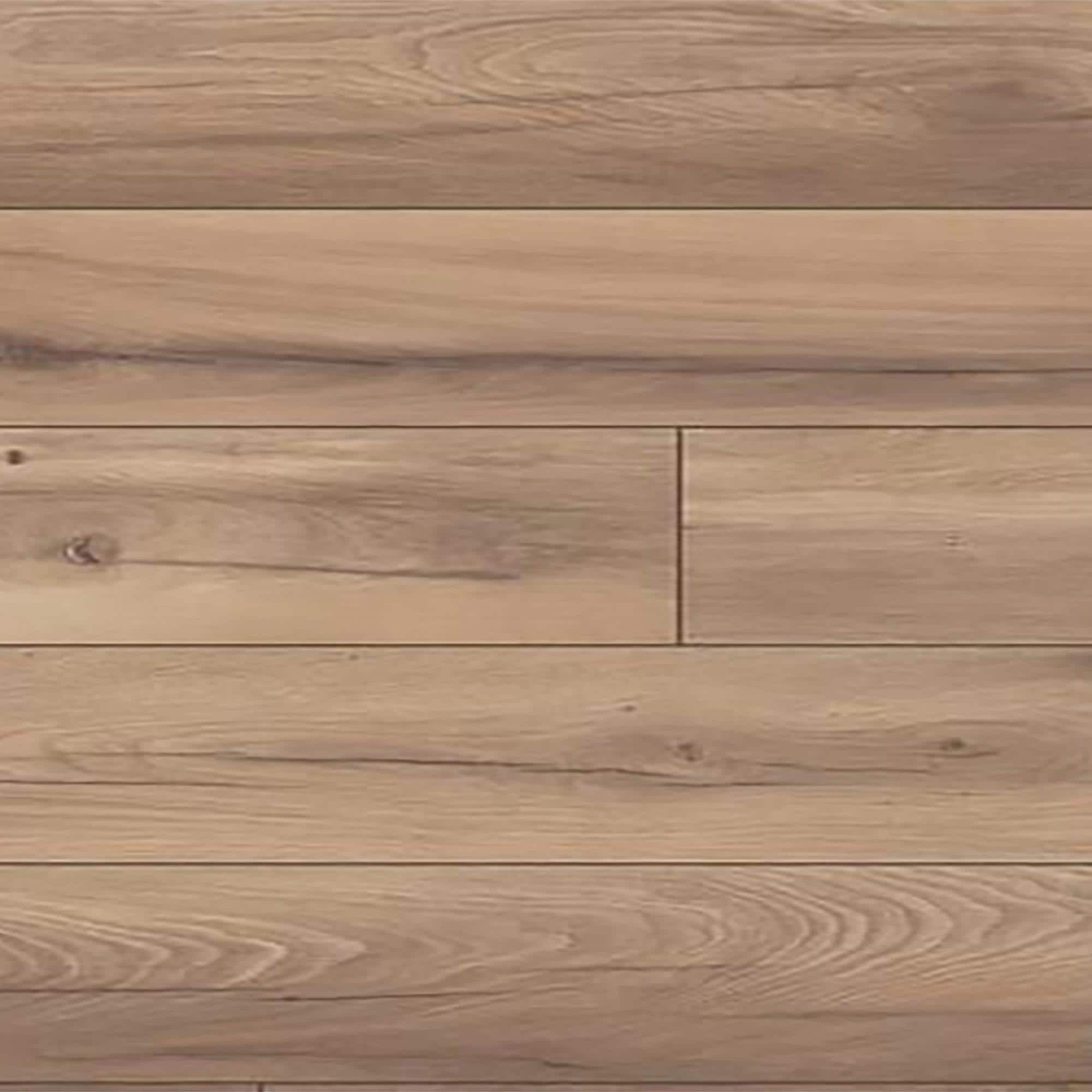 ✤Fuutan✤ Fuzion Bermuda Mainsail 7.5