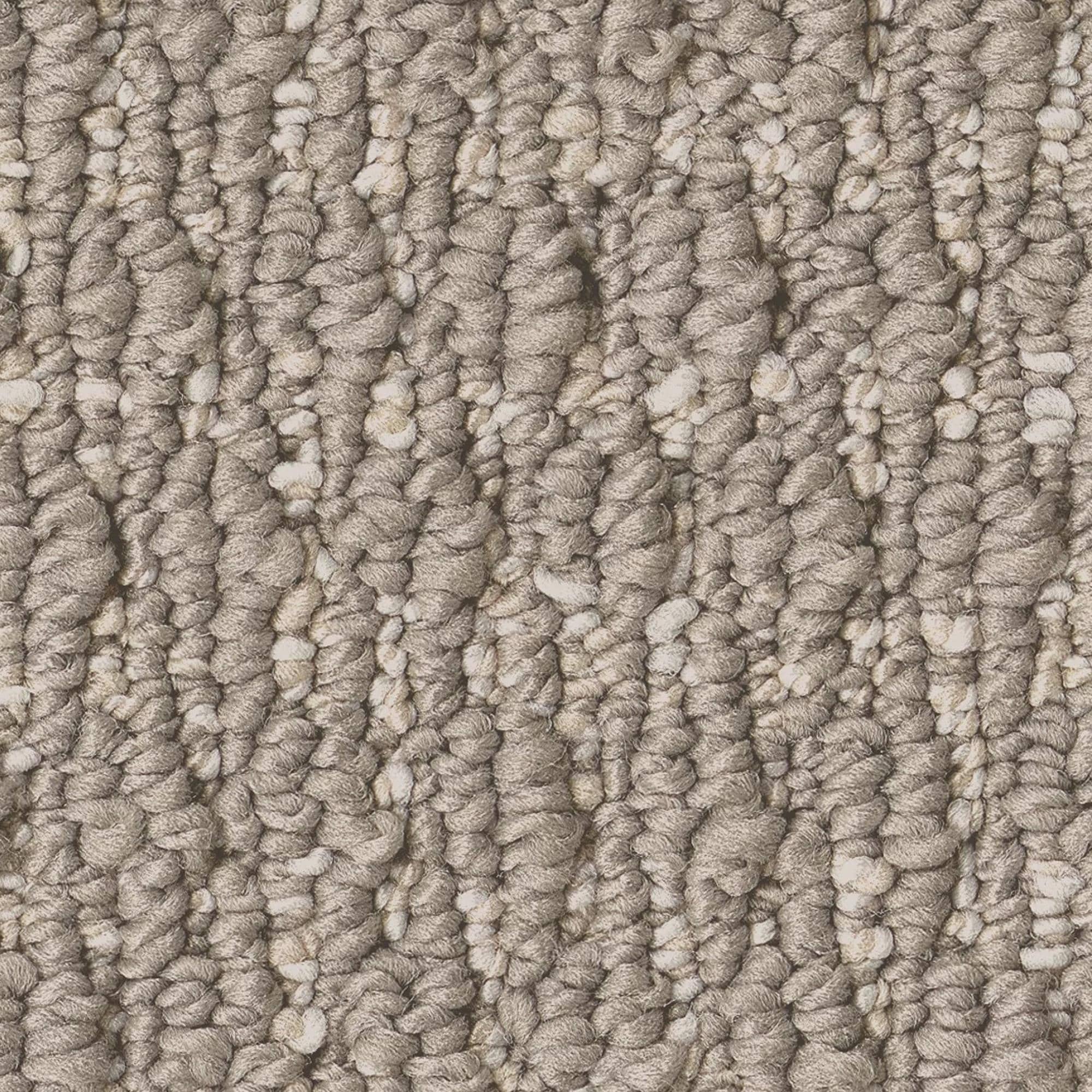 Shaw Cozy Embrace Carpet in Warm Taupe