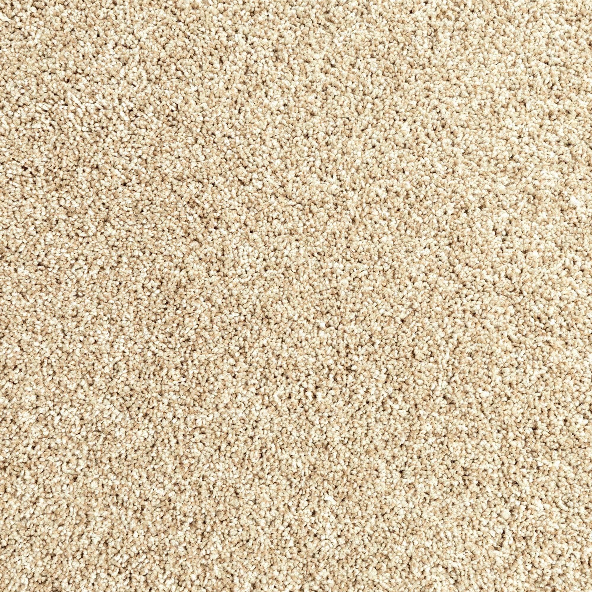 Mohawk Assorted Elements II Carpet in Coastal Sands