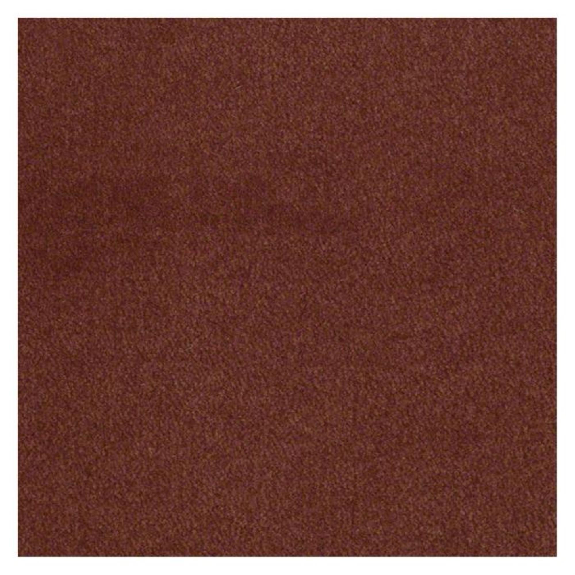 Shaw Emphatic 30 Carpet in Ground Cinnamon NFM