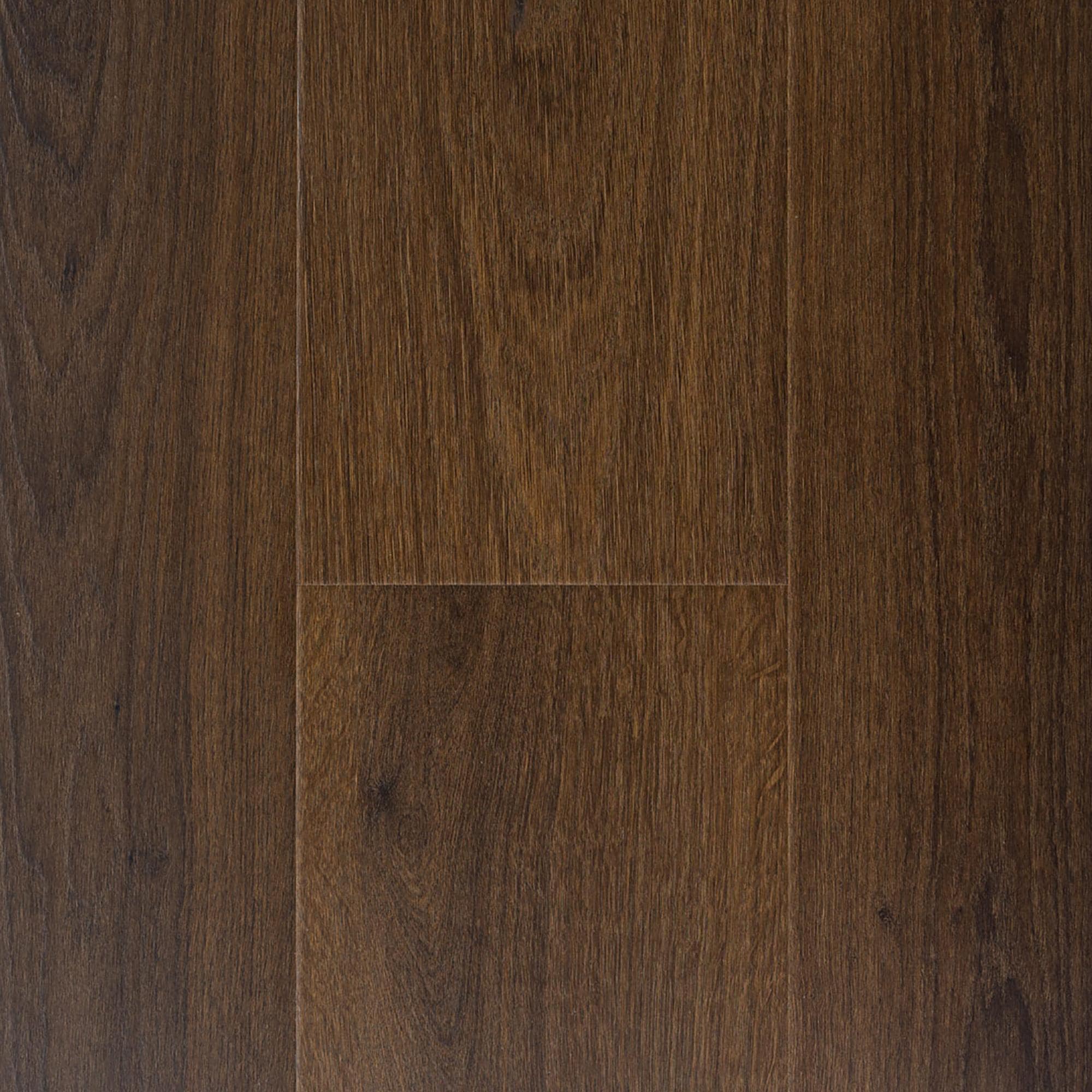 Provenza Modessa Game On 9.4