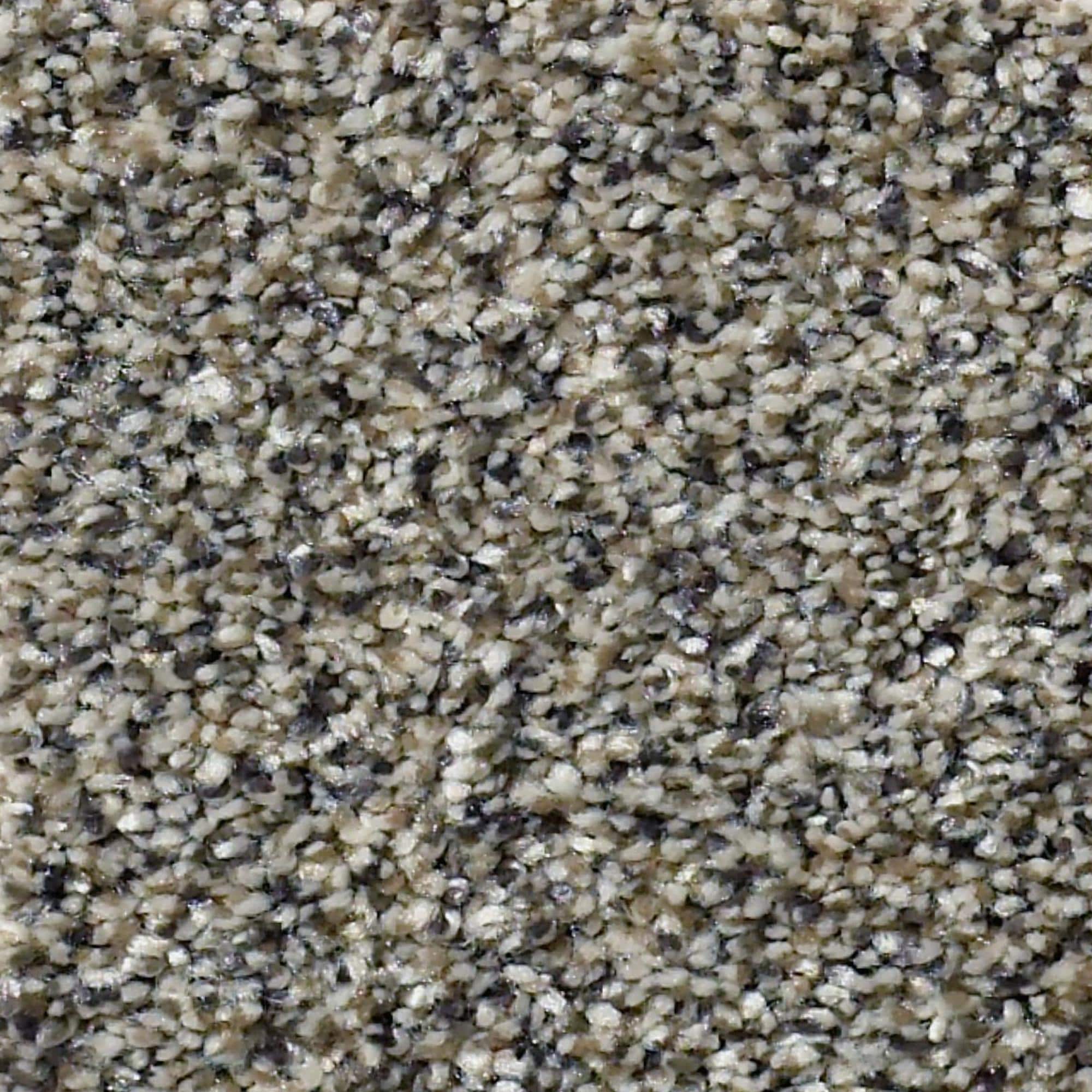 Philadelphia Within Reach III Carpet in Kidskin NFM