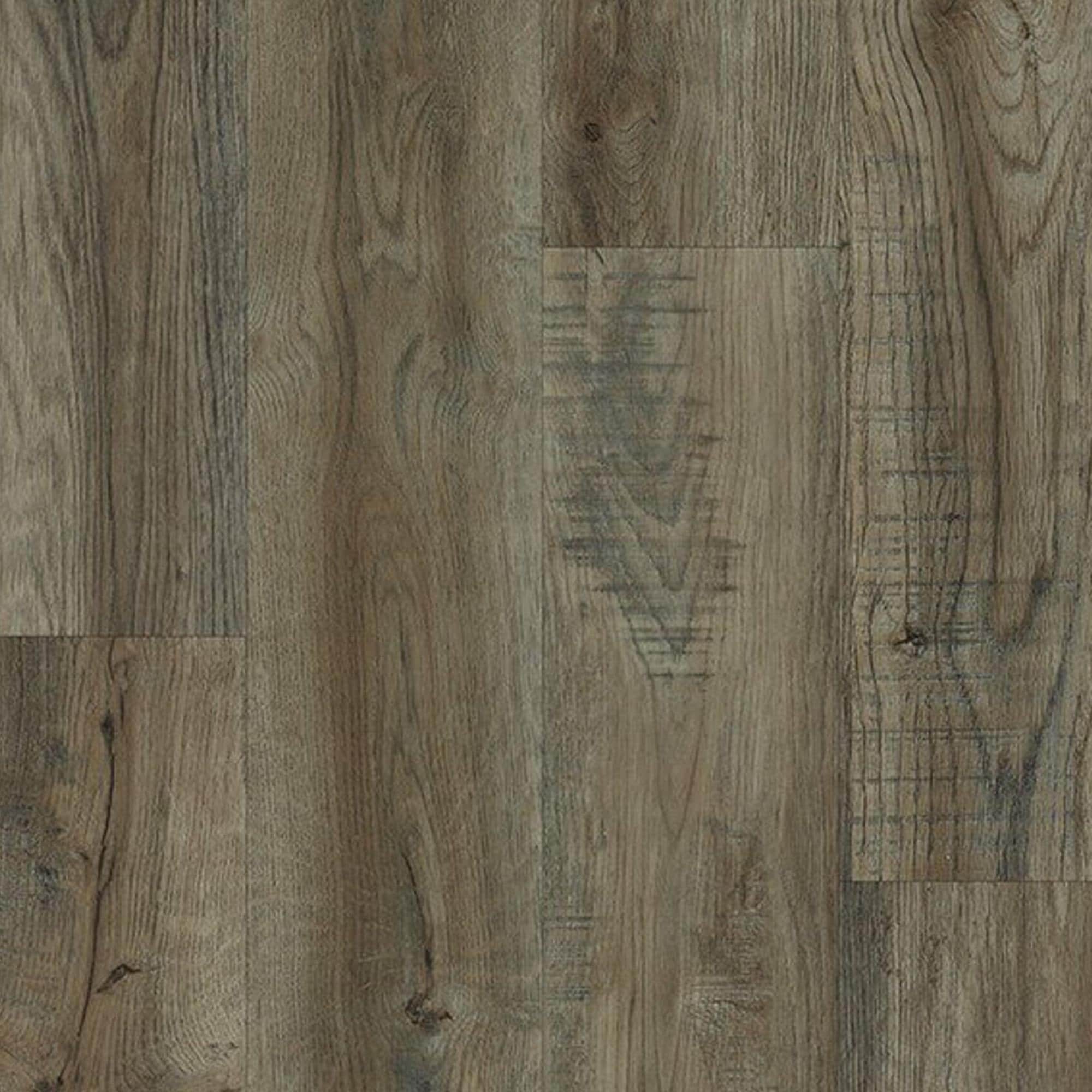 Happy Feet International Maverick Foxwood 7