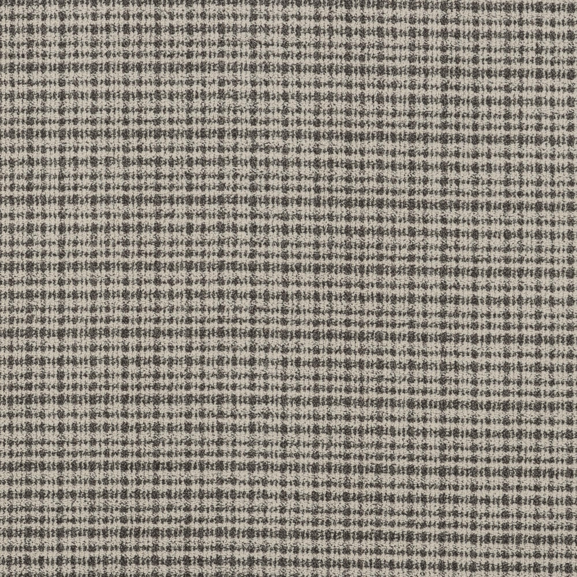 Anderson Tuftex Radiance Carpet in Tuxedo