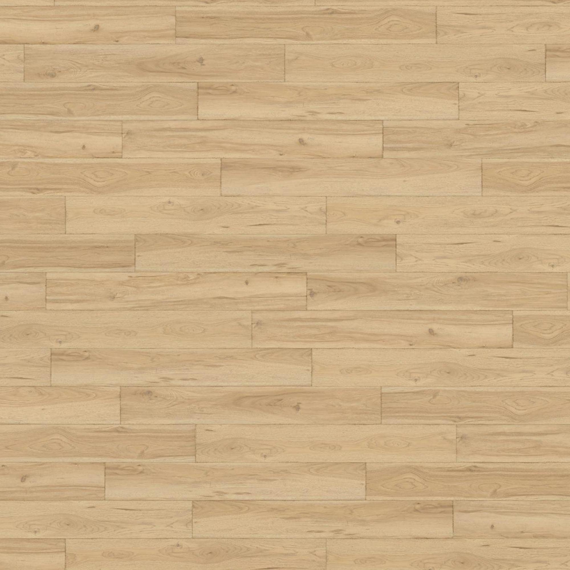Mannington Adura Rigid Preservation Fossil 7