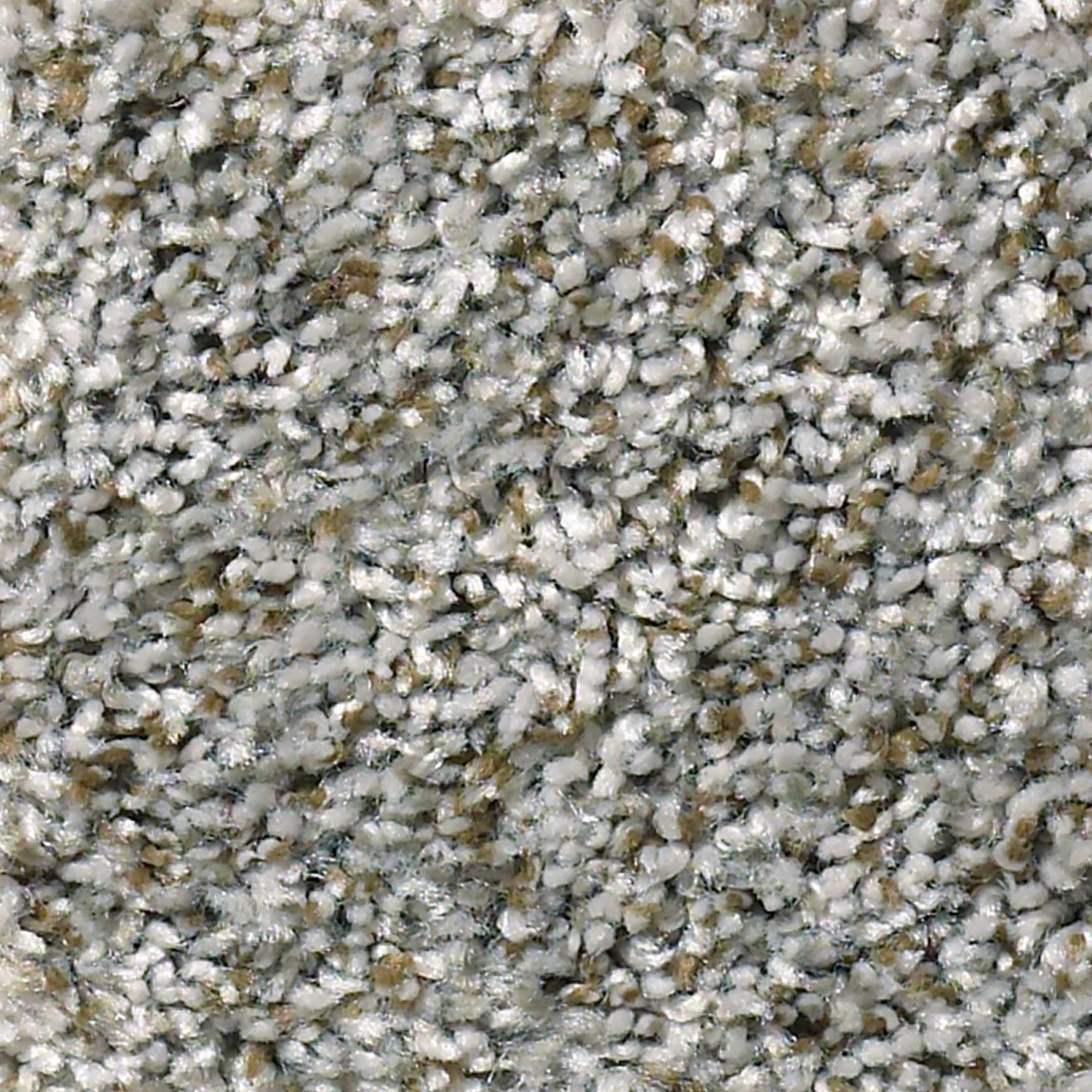 Philadelphia Cabana Bay Carpet in Sierra Mist NFM