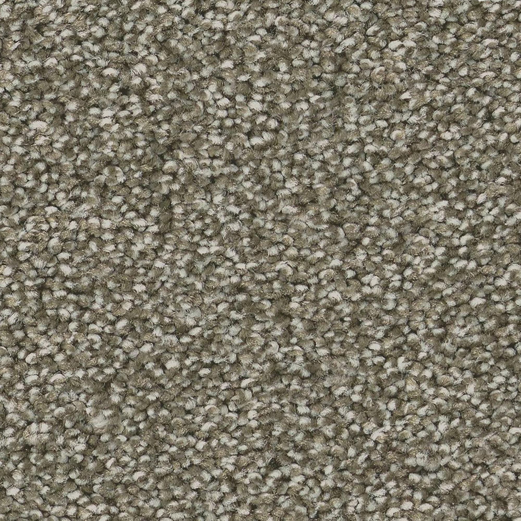 Anderson Tuftex Cypress Falls Carpet in Sage NFM