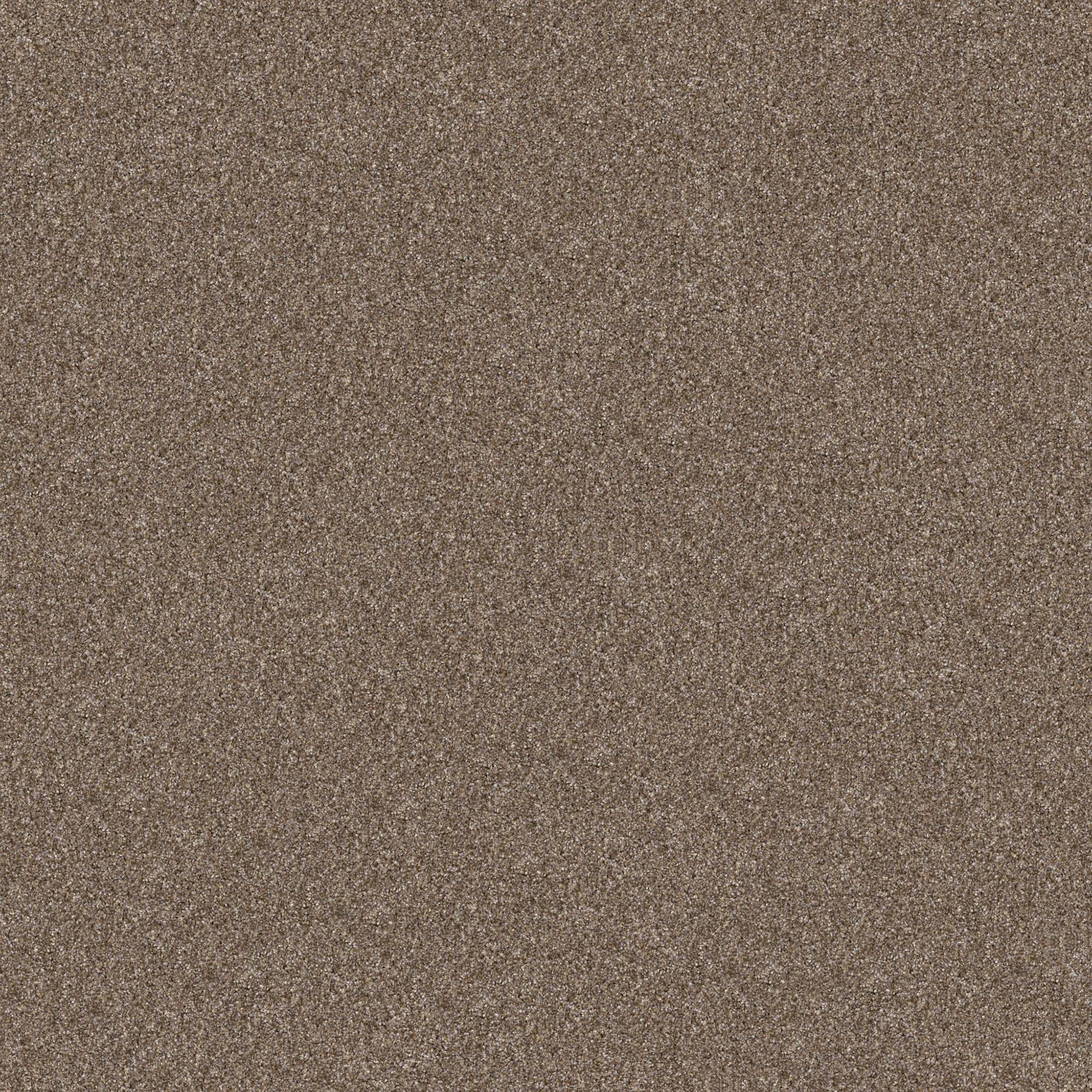 Philadelphia Yes You Can II Carpet in Shop NFM