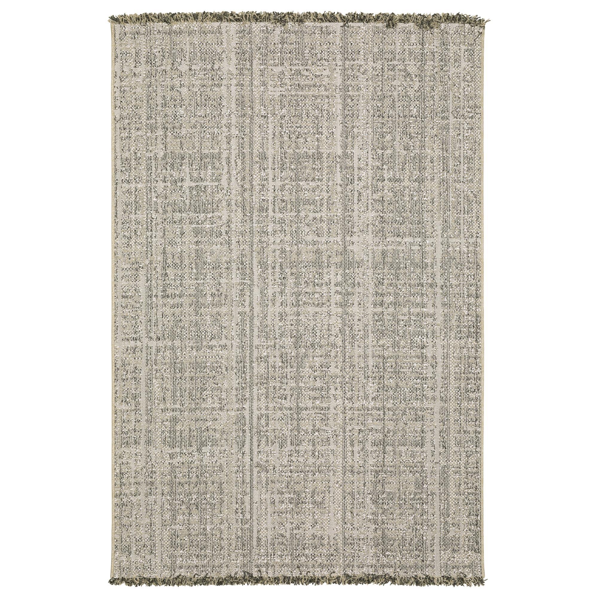 HOMA ARIDARIUM PERISAI 2株 Aridarum Perisai (Josefia Intricata) – Naturaqu