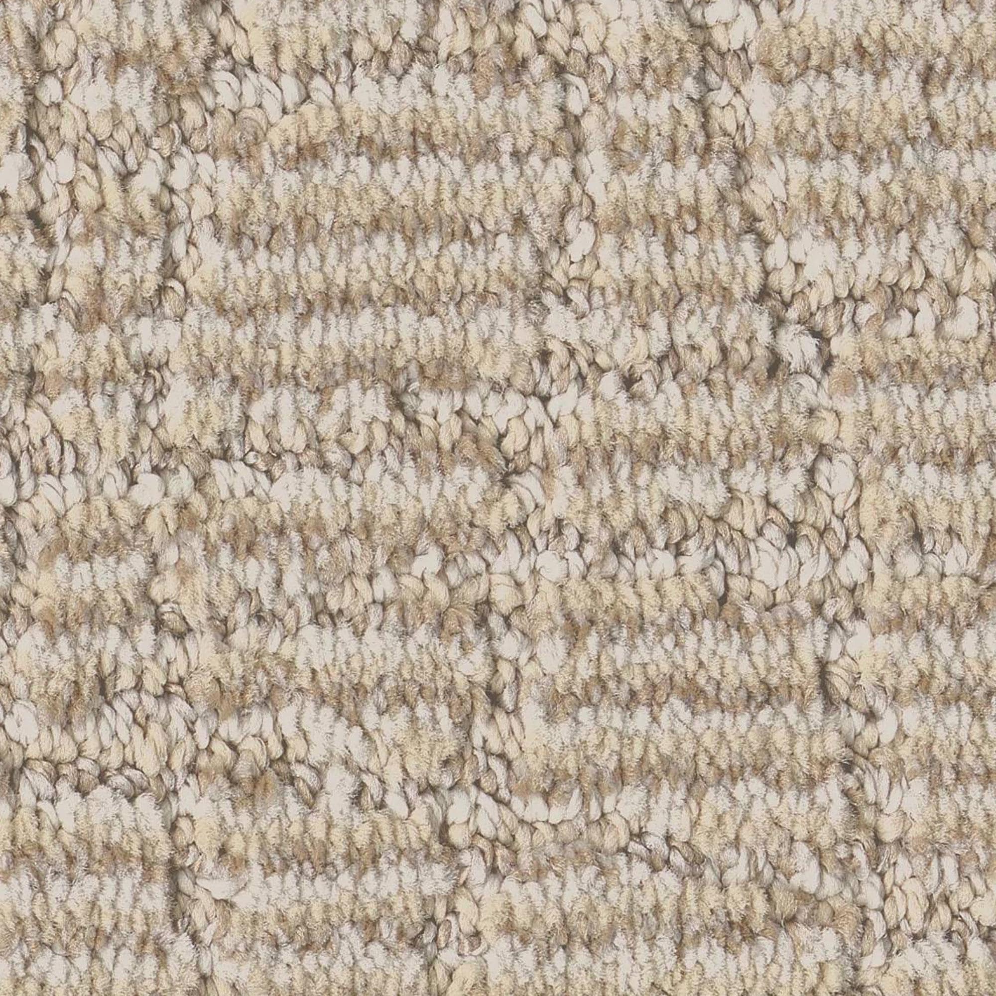 txtバムグッセット Anderson Tuftex Chit Chat Carpet in Almond Latte