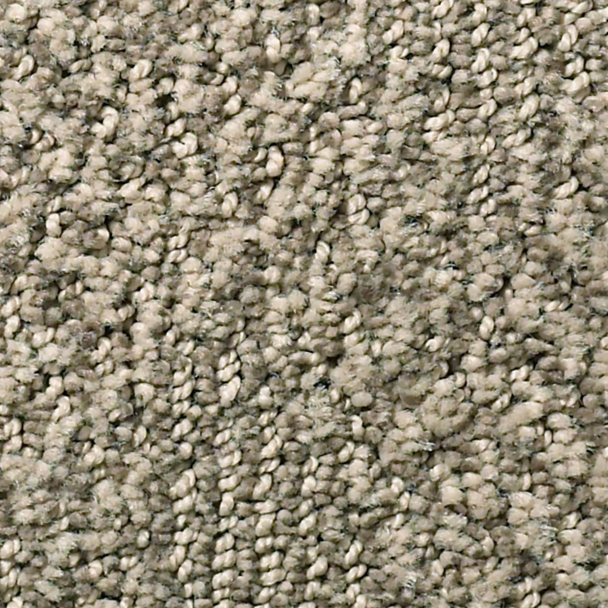 Anderson Tuftex Luna Carpet in Sandlot NFM