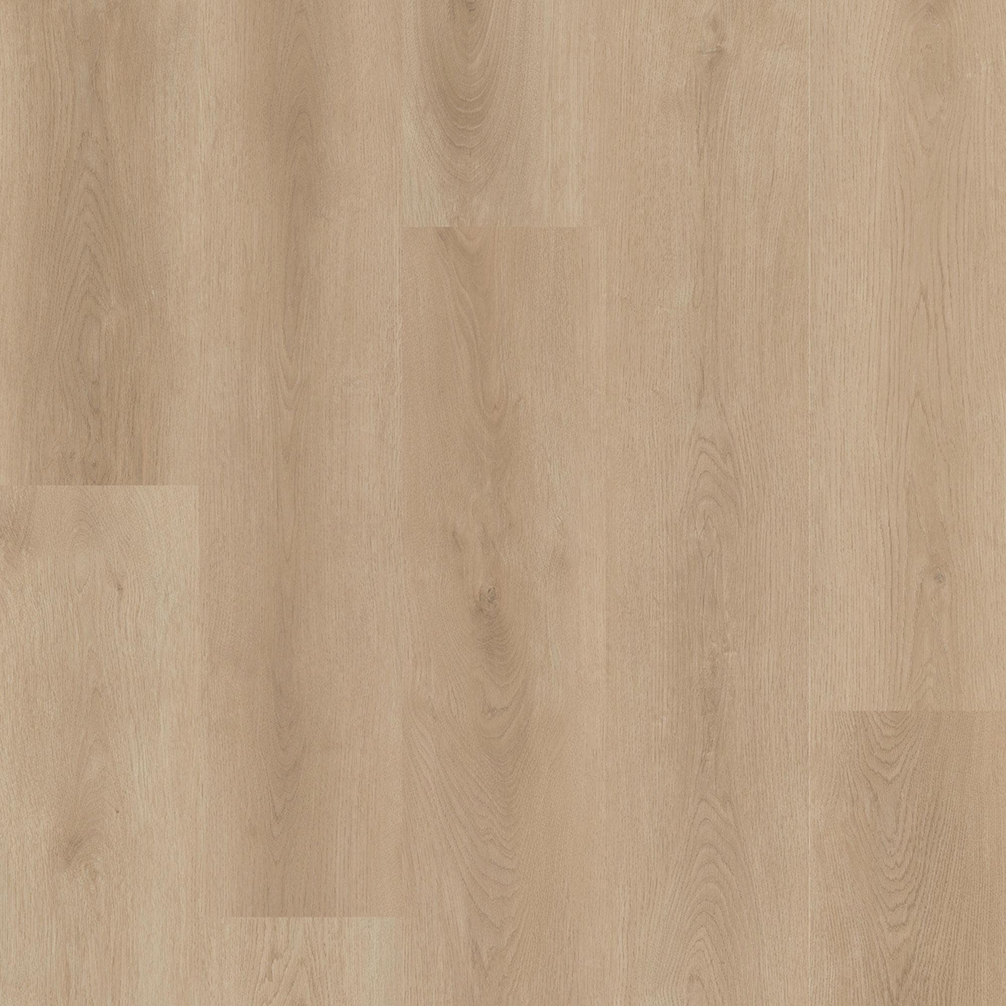 Lions Floor District Pro Capitol Hill 7