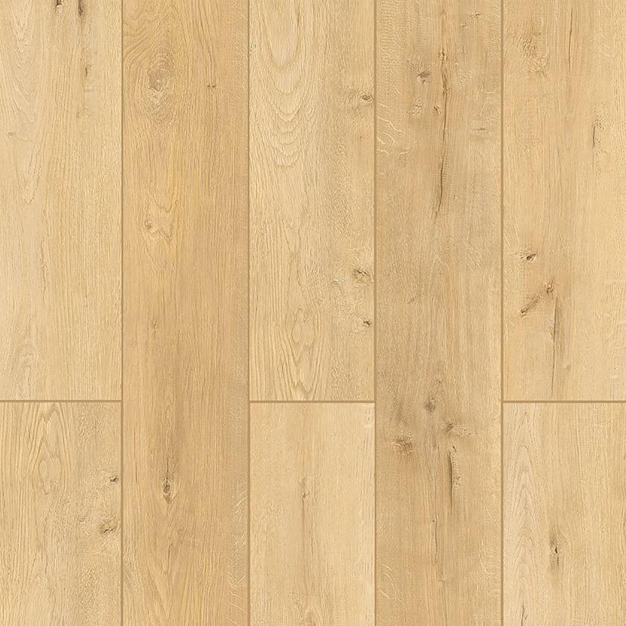 パピヨン　love+loyalty+luck 6894010-1.jpg