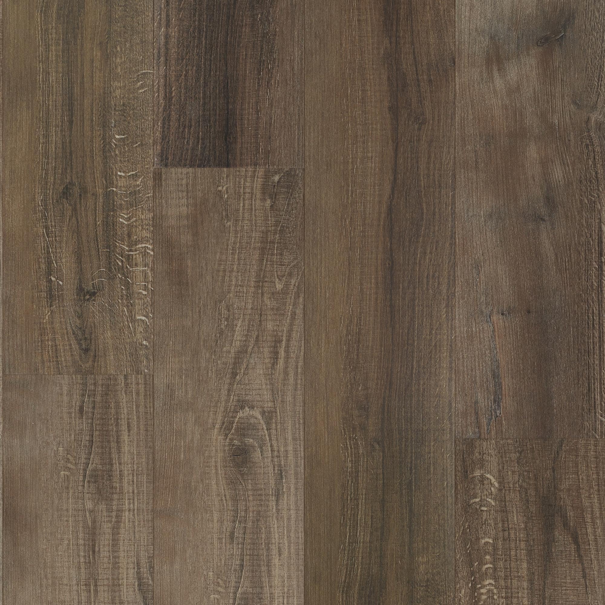 ◆LECOQ◆ Popola Classic PRM V2 BeigeQQ123LSN13 QQ123LSN13_B Daltile Core Fundamentals Prime EL31 EL31 Beige Matte