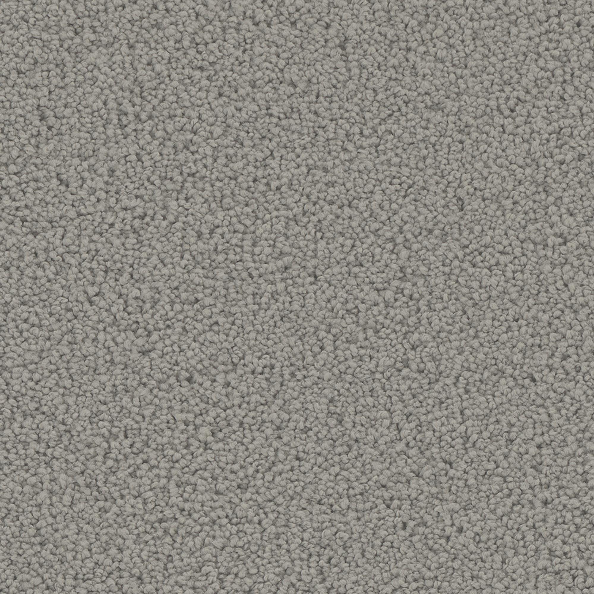 Phenix Carpet Mateo Carpet in Lavish Shop NFM