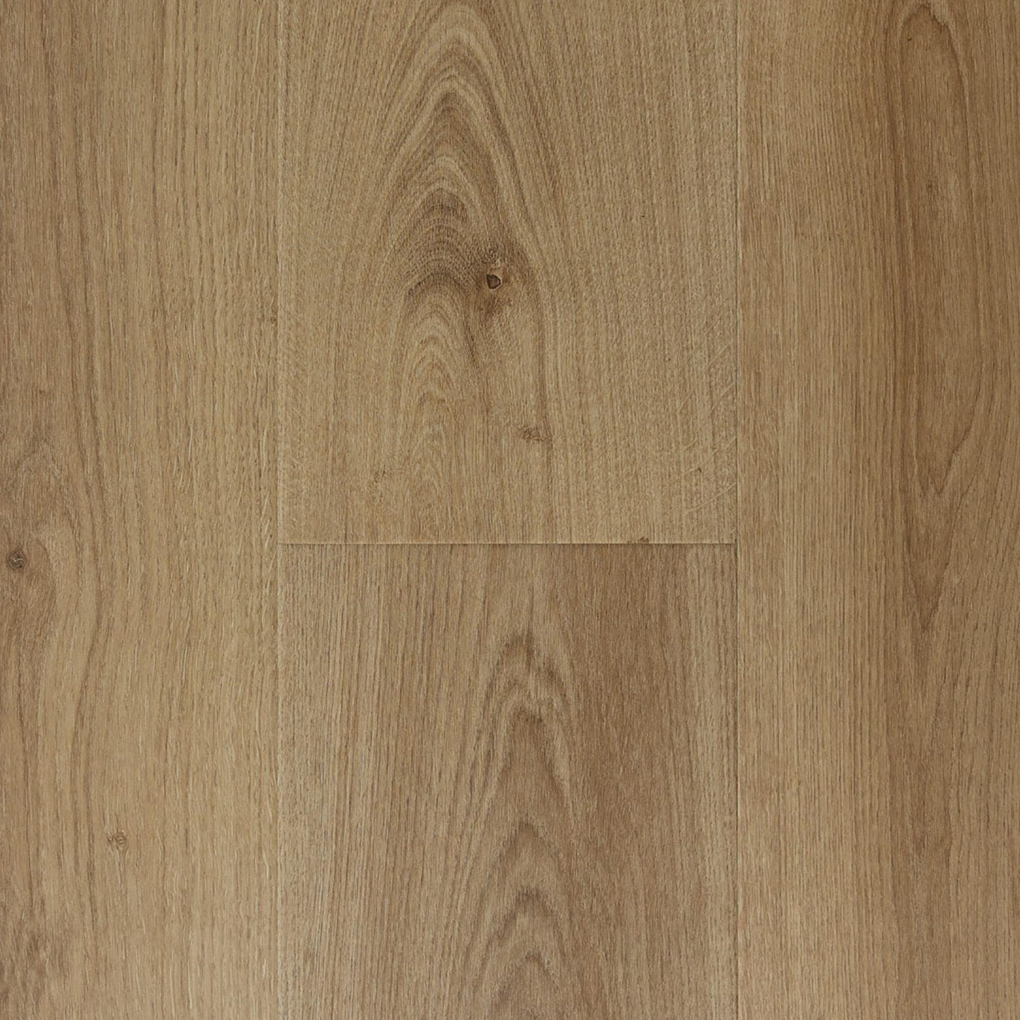 Provenza Modessa So Chic 9.4