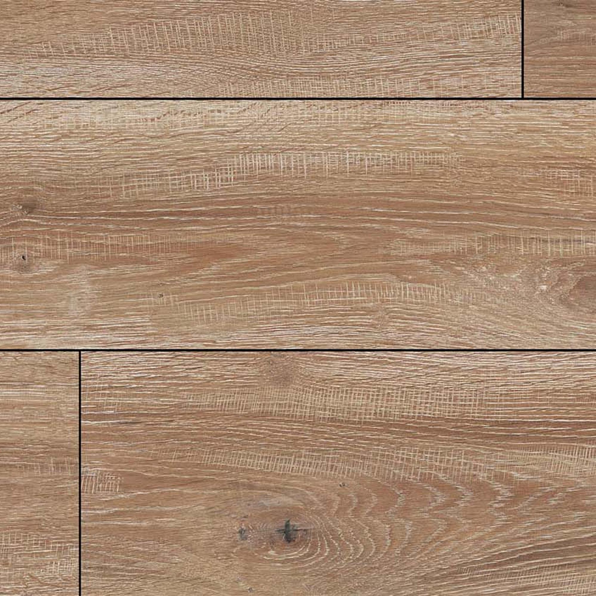 kurobee  L 7292396-1.jpg