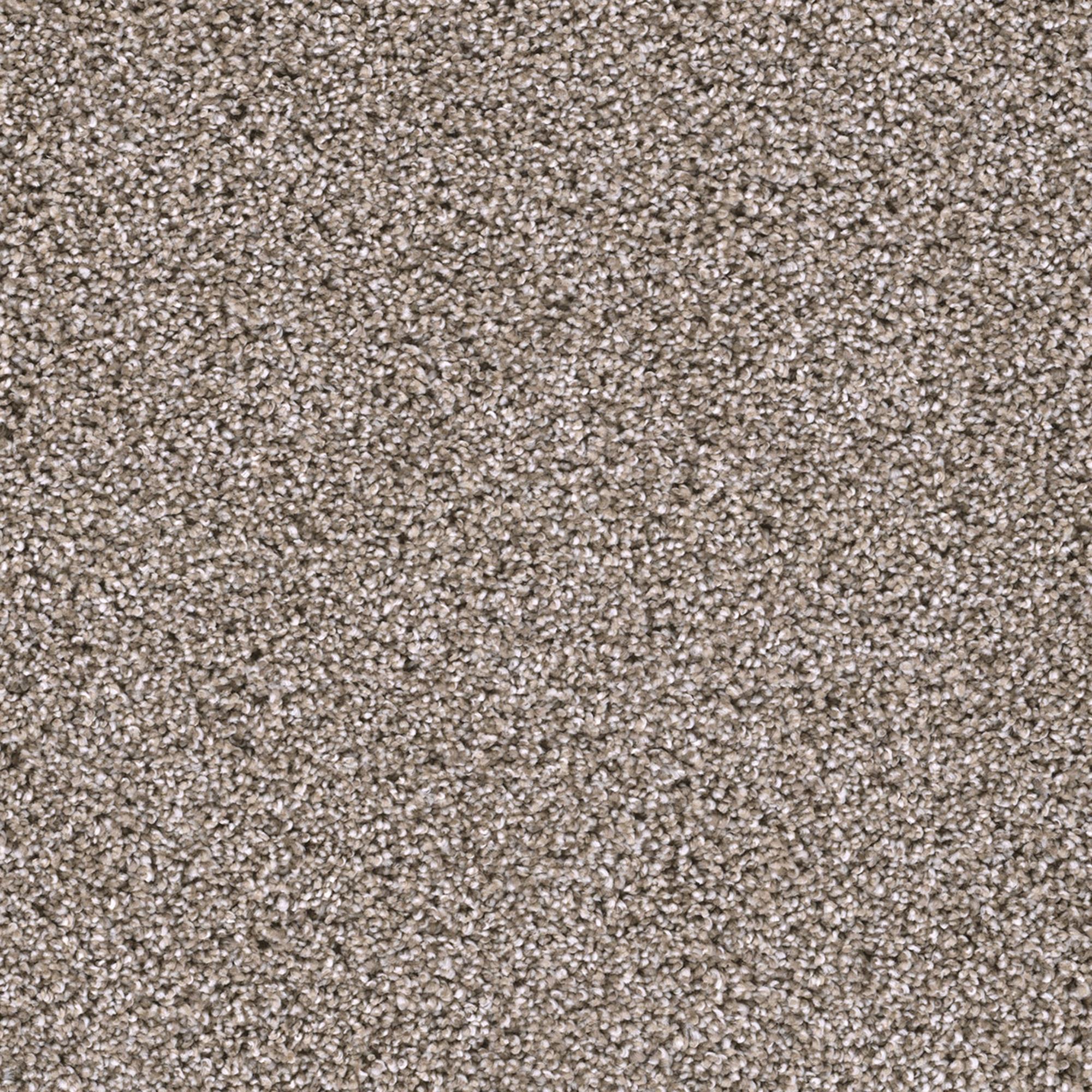 Dream Weaver Trendsetter II Carpet in Pelican Bay