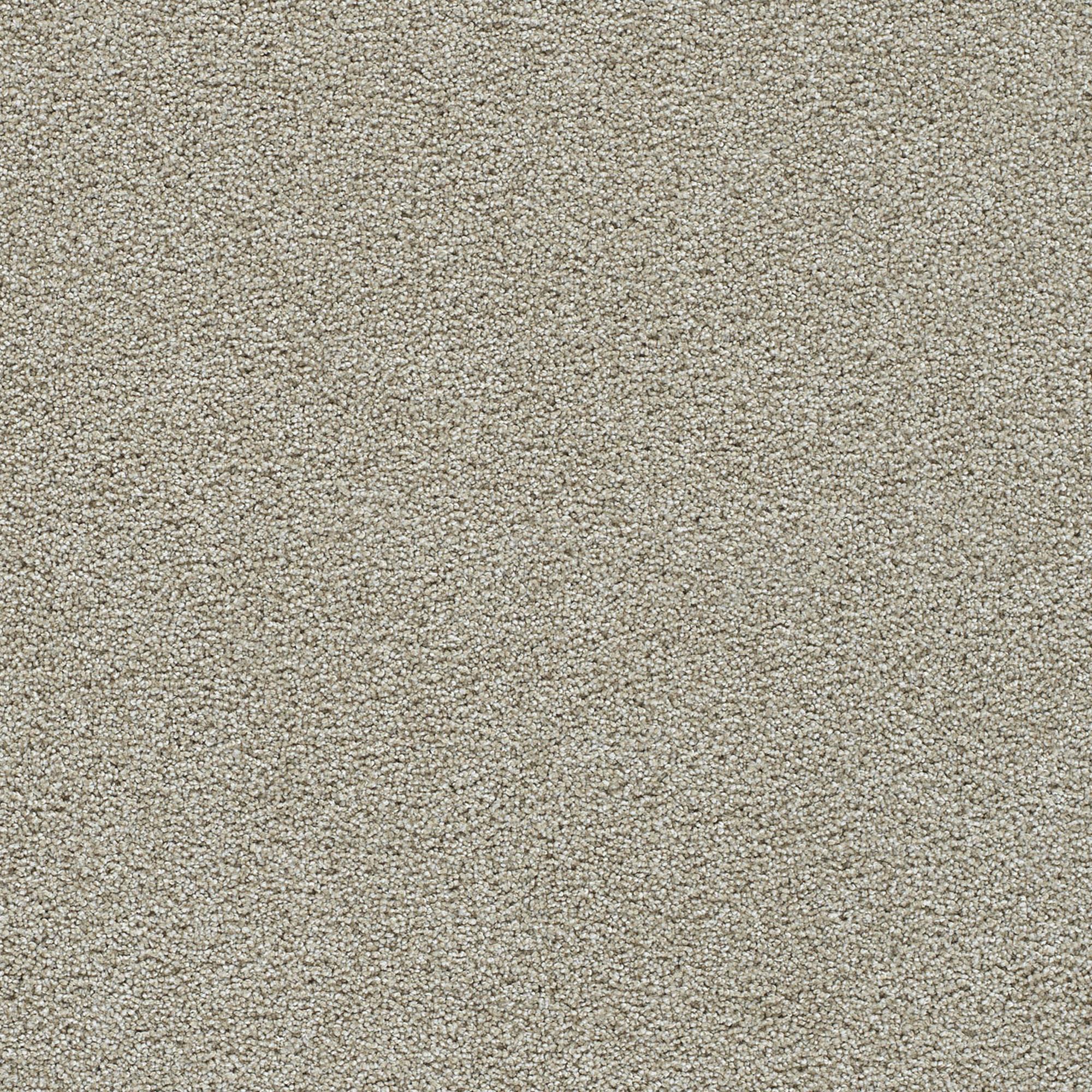 Dream Weaver Clear Skies II Carpet in Honeycomb