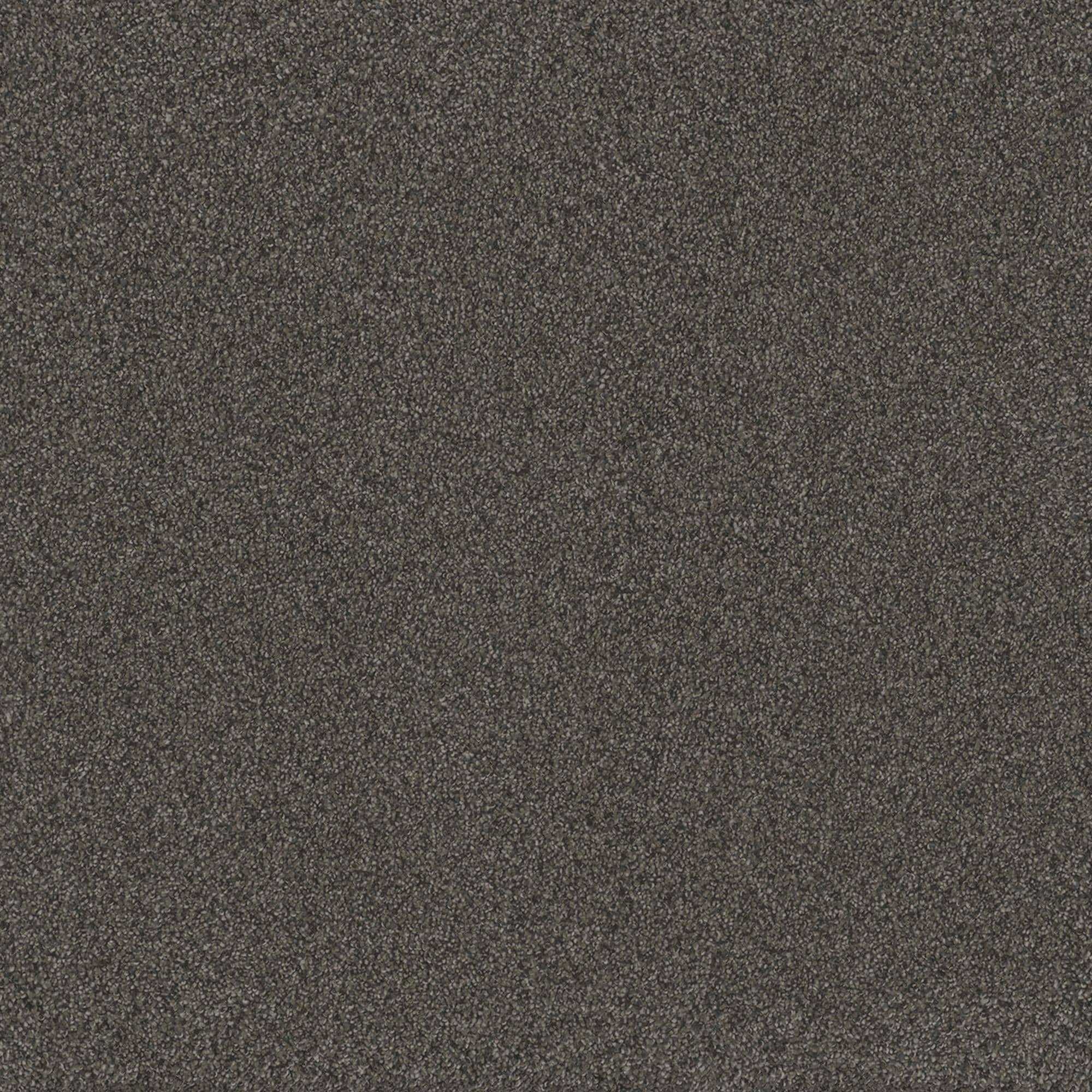 Dream Weaver Blazer I Carpet in Jadestone