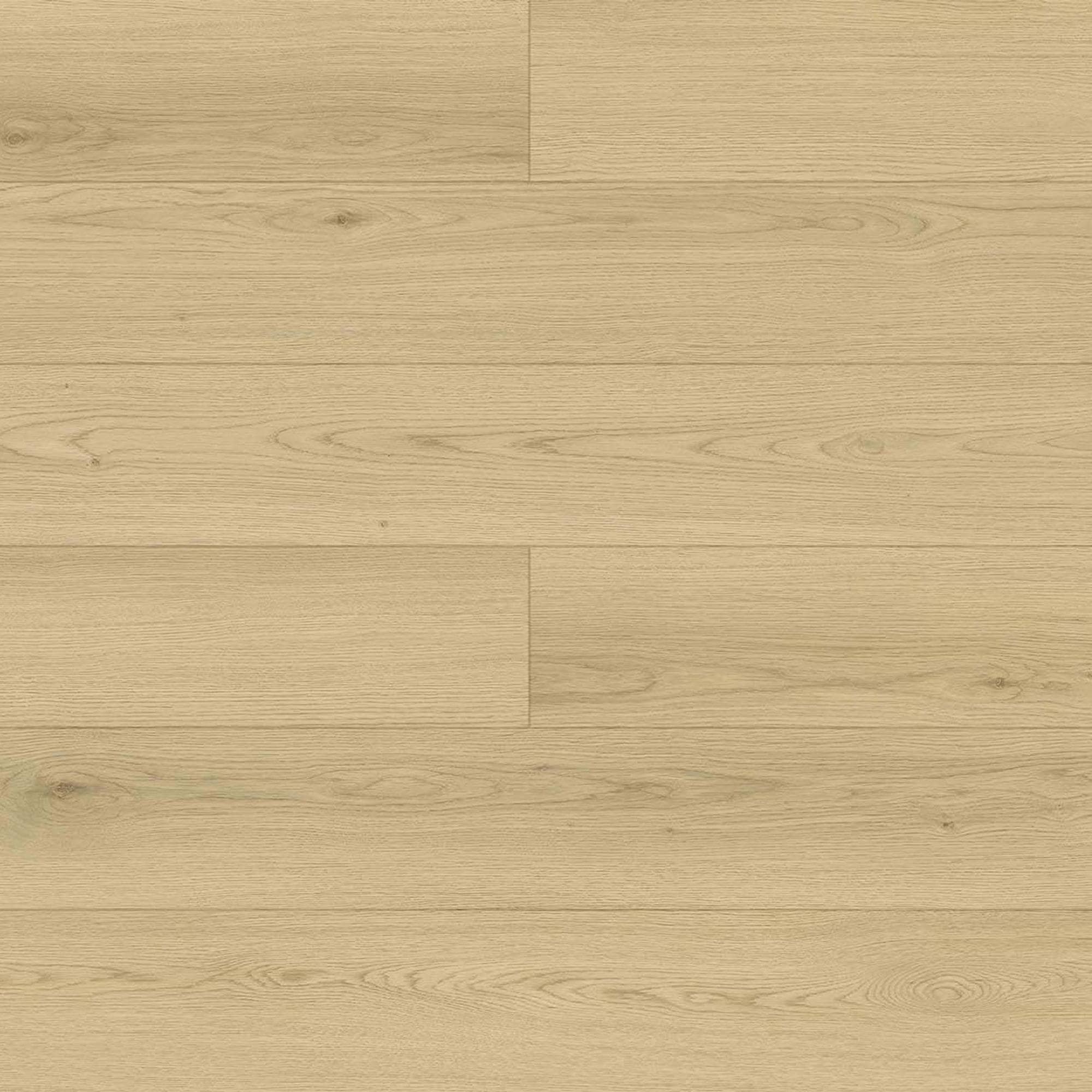 その他 Phantasmal Footsteps MON UL fab その他 Phantasmal Footsteps MON UL fab Phantasmal Footsteps