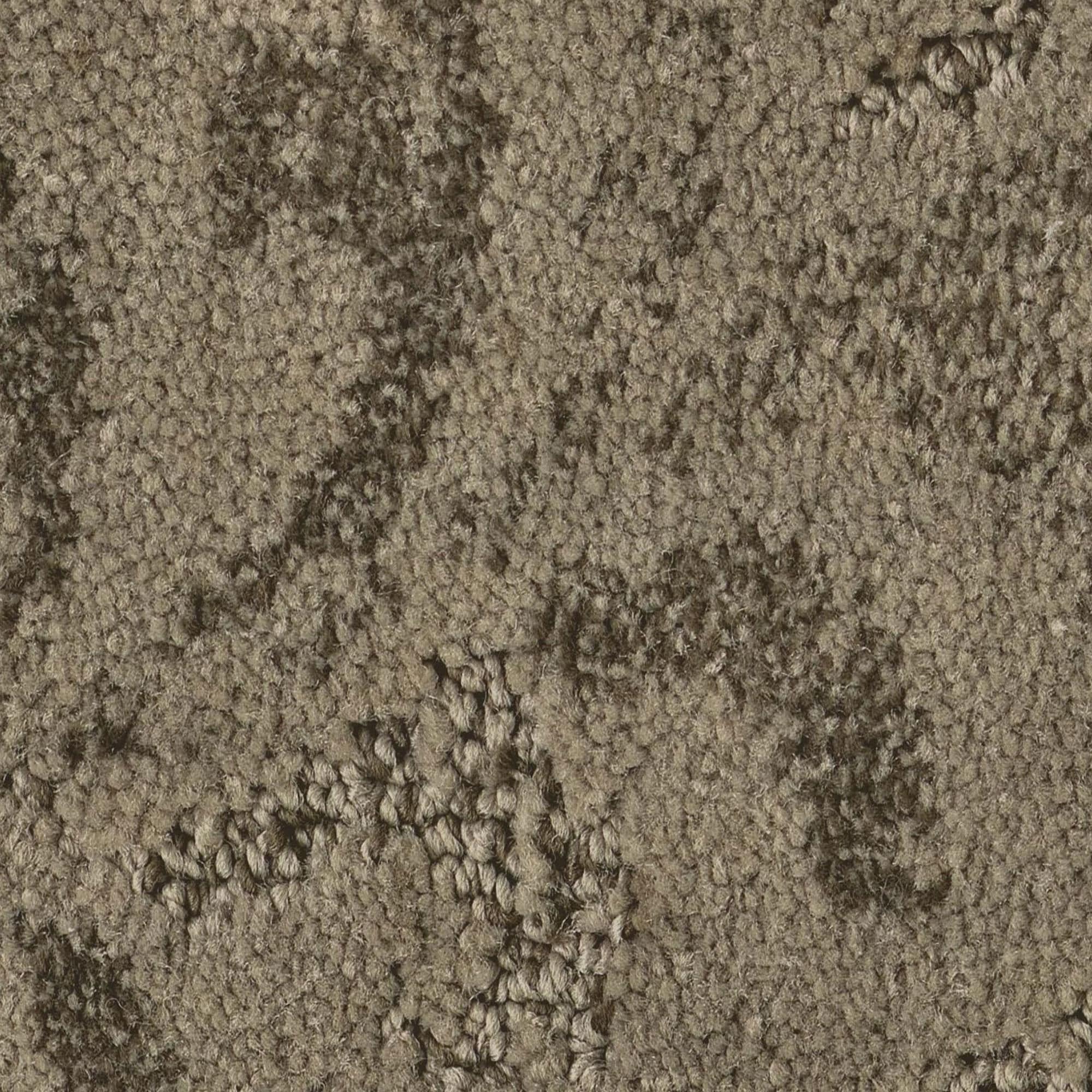 Anderson Tuftex Charismatic Carpet in Bonsai