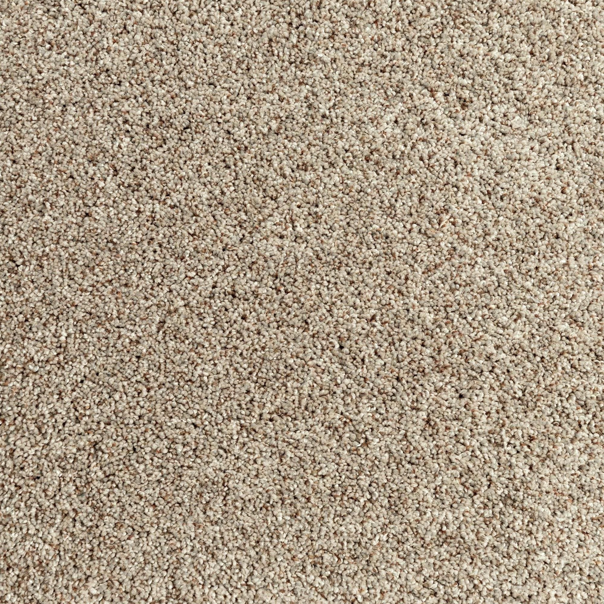 Mohawk Assorted Elements II Carpet in Dock