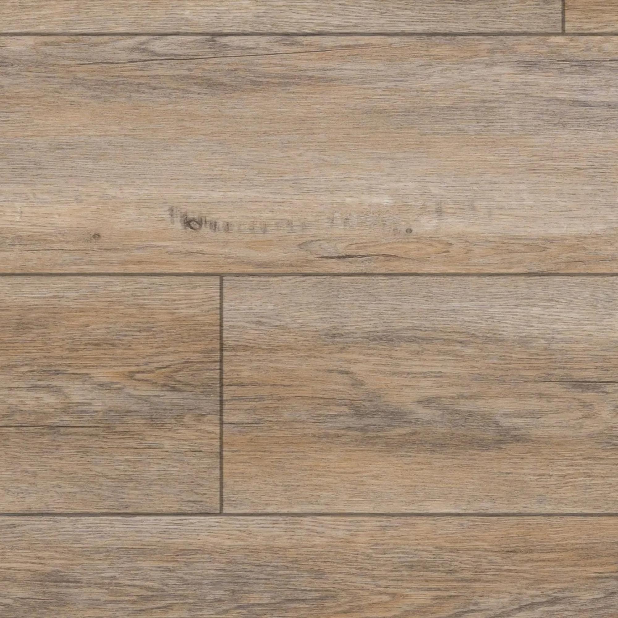 ふわモナ Shaw Commonplace 5M507-07308 Cocoa 7